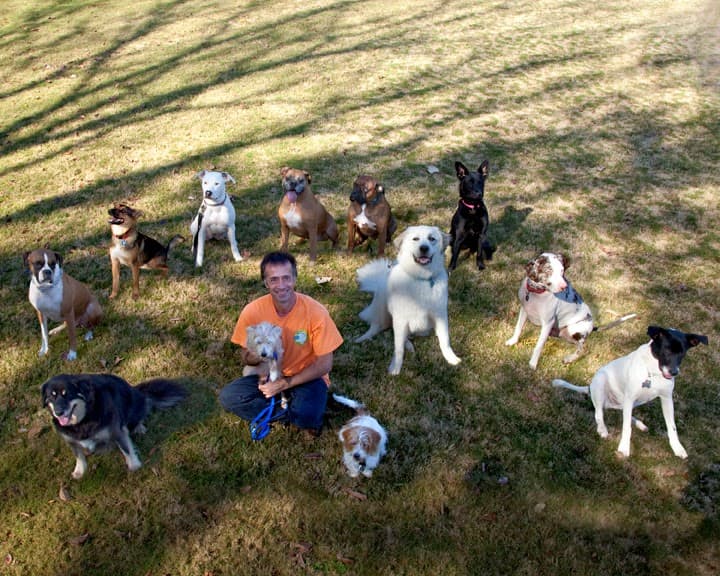 Frogs to Dogs, Training & Pet Care - Pet groomer in Decatur, GA