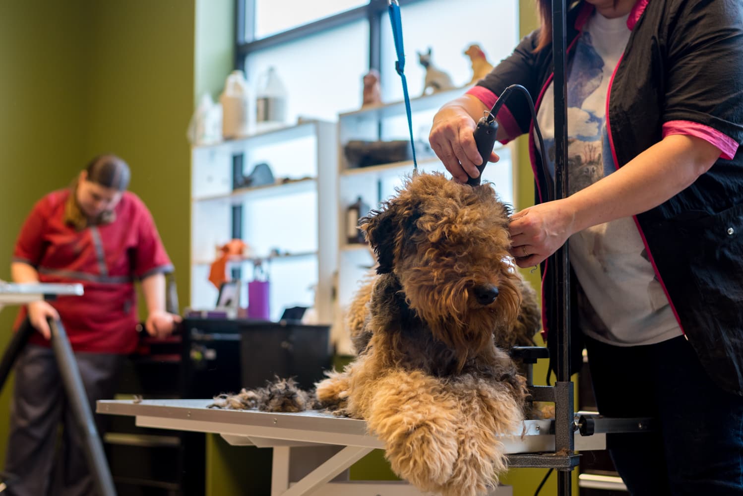 Nature's Pet Market & Grooming St Johns - Pet groomer in Portland, OR