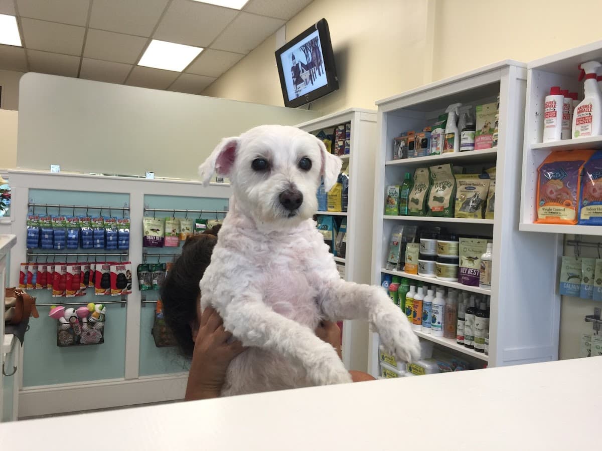 Marie's Pet Grooming - Pet groomer in Fresh Meadows, NY