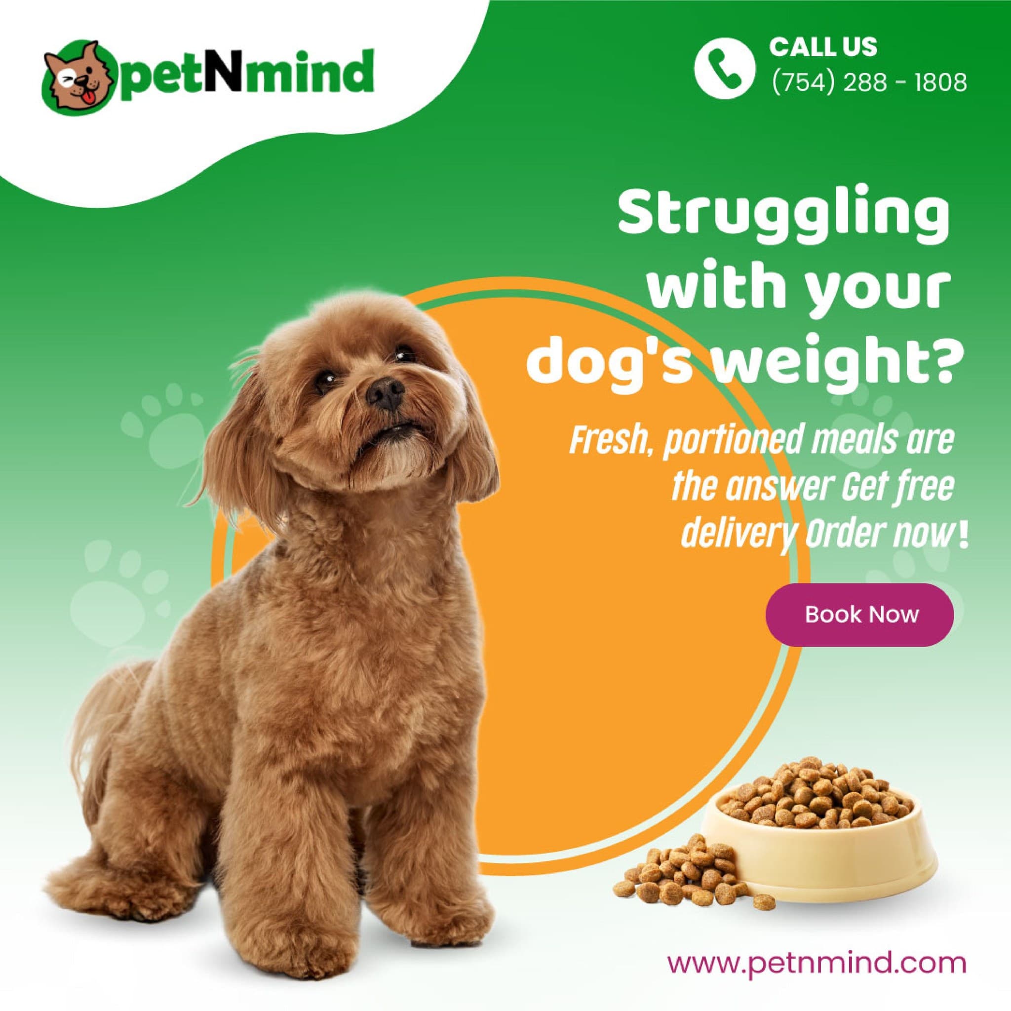 petNmind Naturals & Grooming Ft. Lauderdale - Pet groomer in Fort Lauderdale, FL