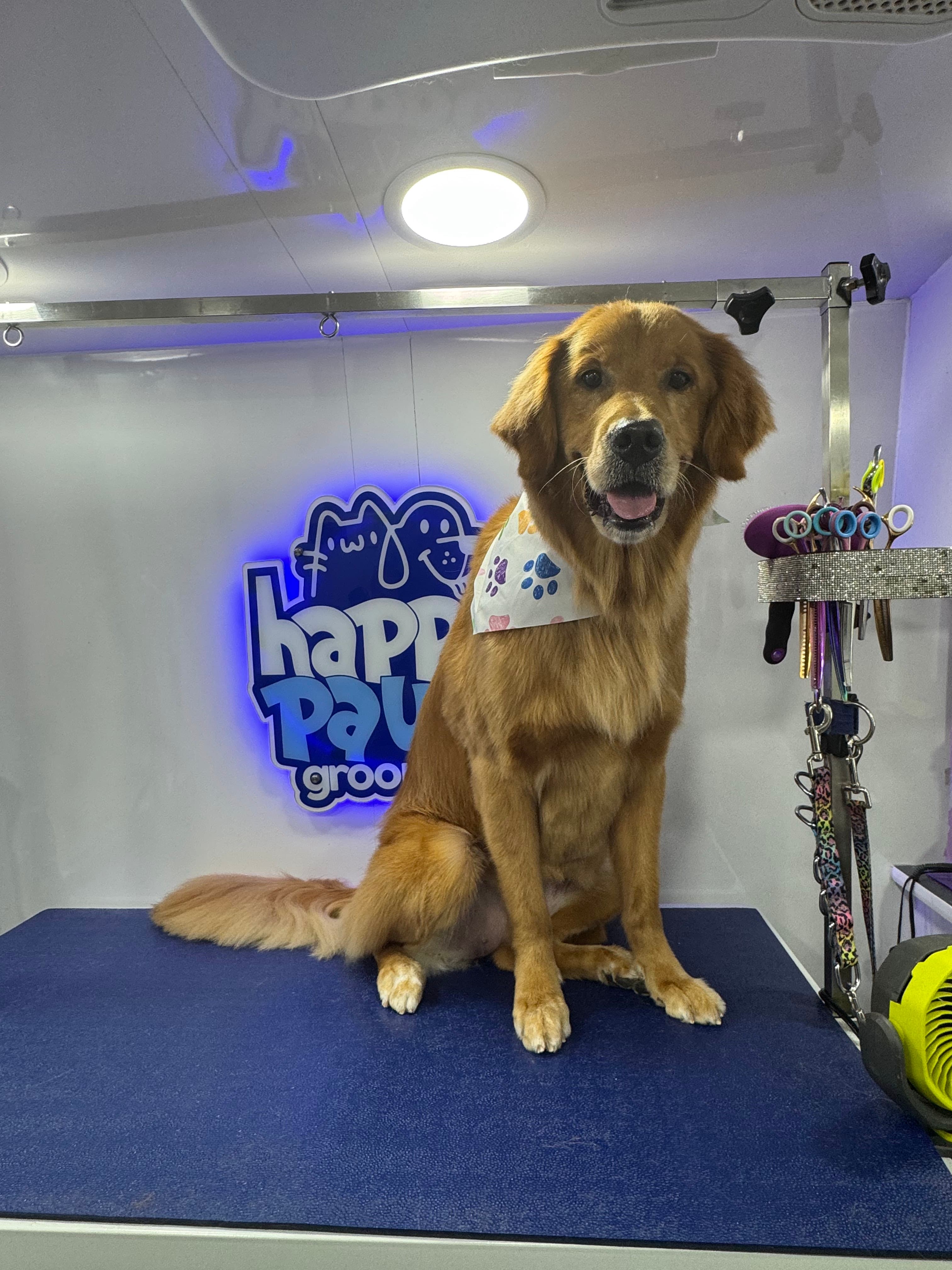 Happy Paws Mobile Grooming - Pet groomer in Fort Lauderdale, FL