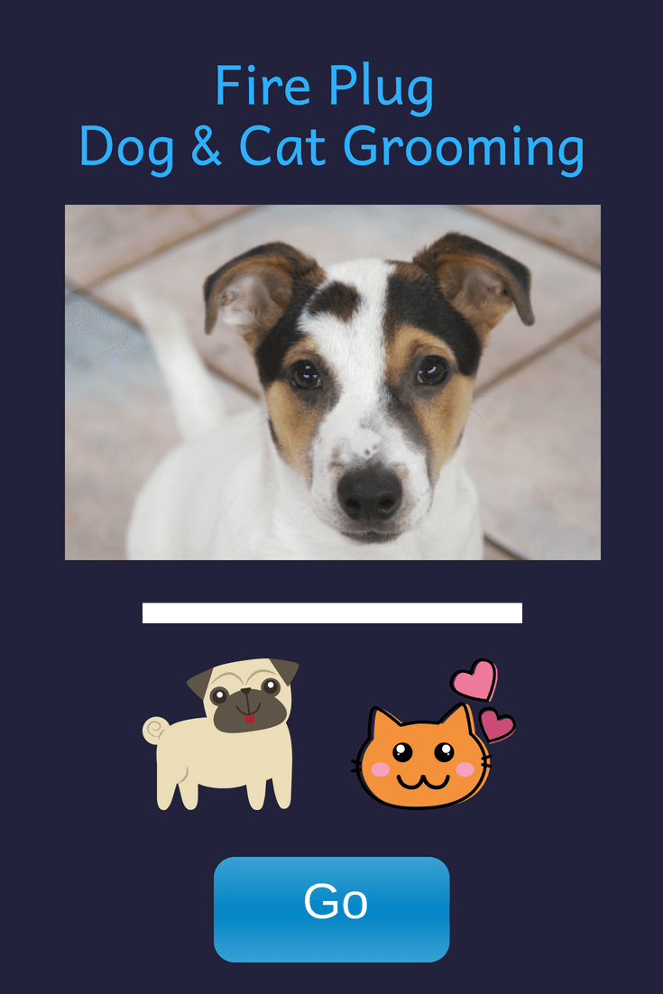 Fire Plug Dog & Cat Grooming - Pet groomer in Parma Heights, OH