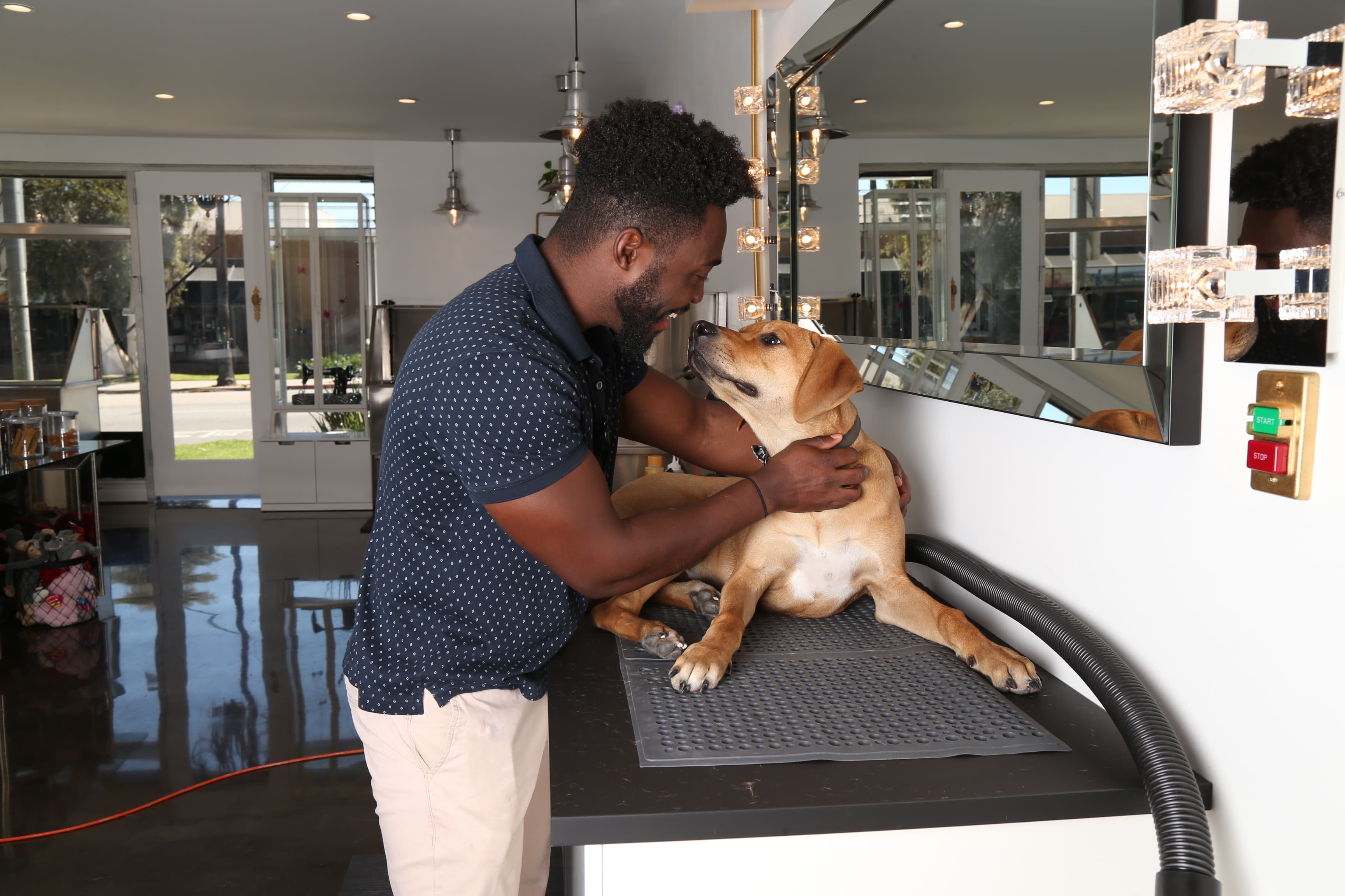 Collar & Comb - Pet groomer in Los Angeles, CA