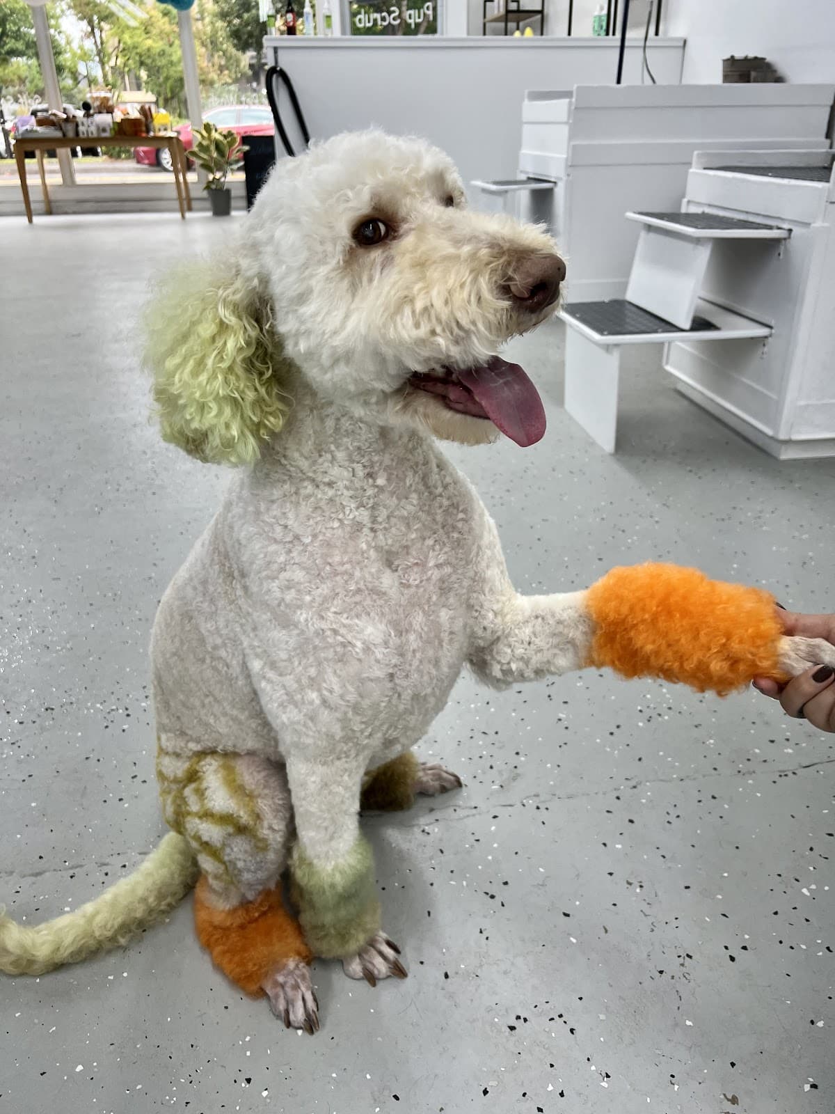 PupScrub - Pet groomer in Gresham, OR