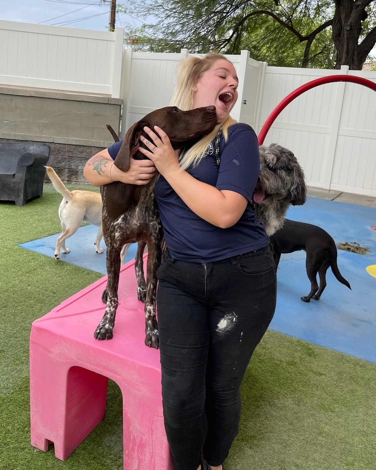 Paw Commons Pet Resort & Training Center - Scottsdale - Pet groomer in Scottsdale, AZ