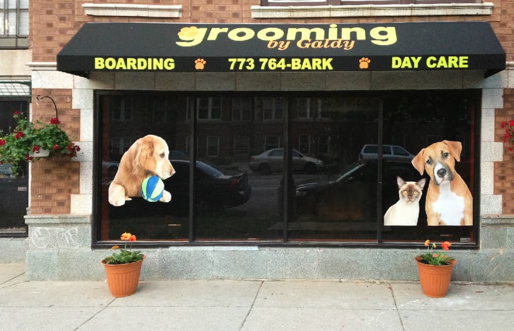Grooming By Galdy - Pet groomer in Chicago, IL