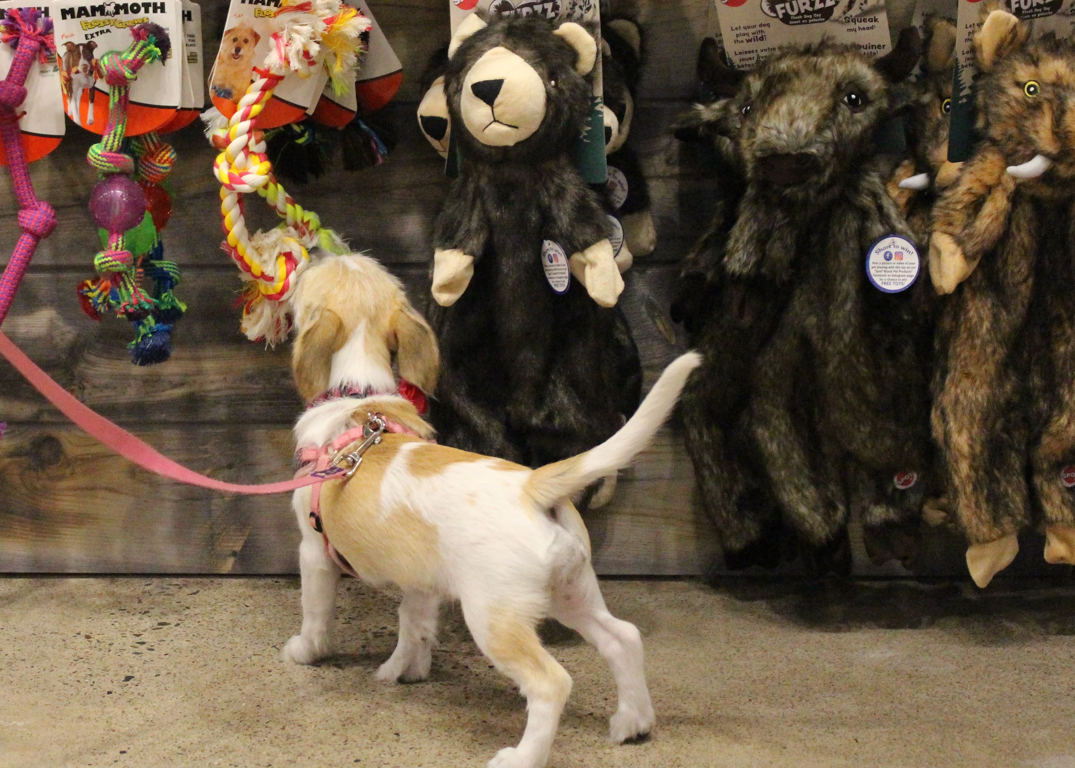 Chuck & Don's Pet Food & Supplies - Pet groomer in Plymouth, MN