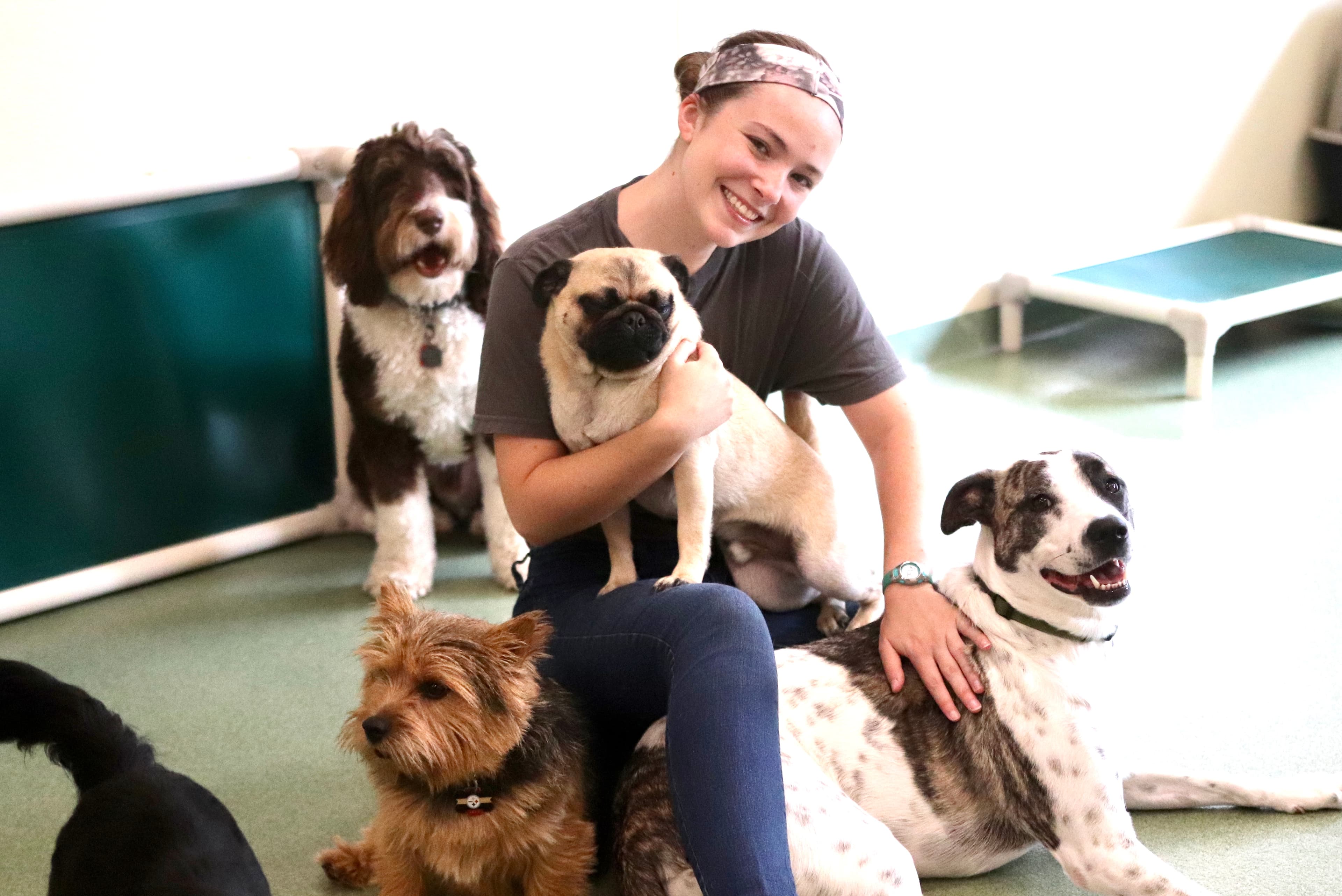 PUPS Pet Club - Pet groomer in Chicago, IL