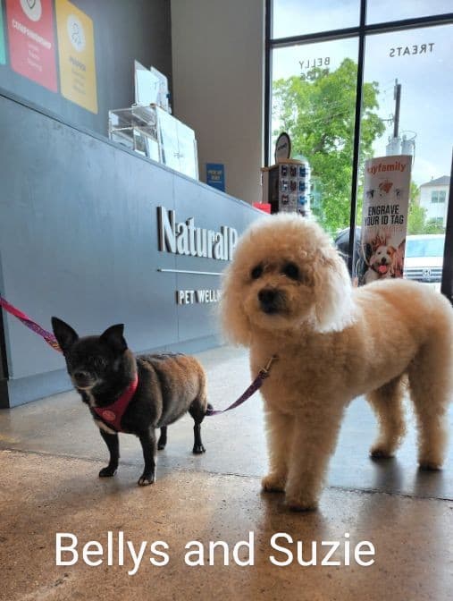 Natural Pawz - Washington Ave - Pet groomer in Houston, TX