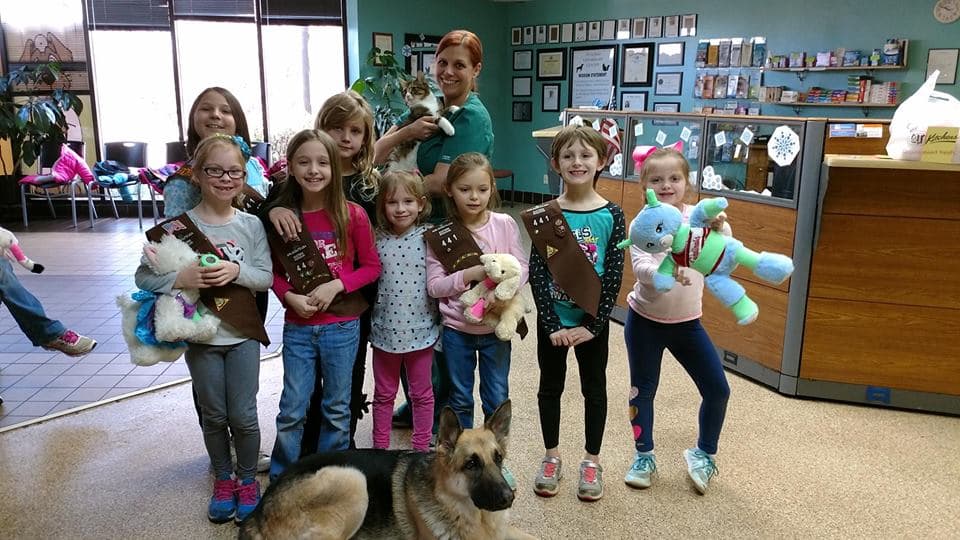 St Louis Veterinary Center - Pet groomer in St. Louis, MO