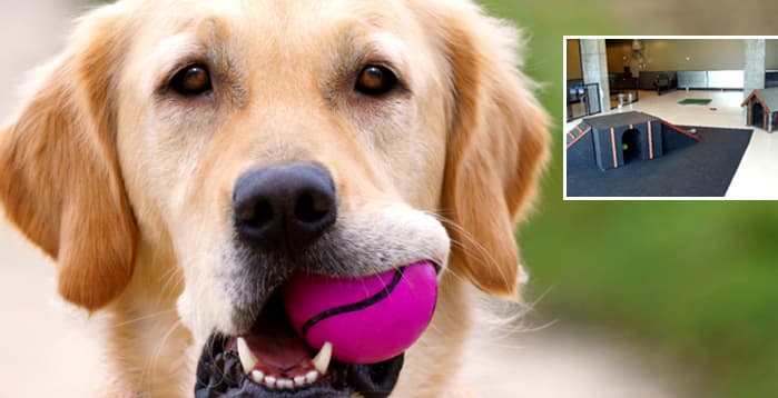 The Dog House - Pet groomer in Portland, OR