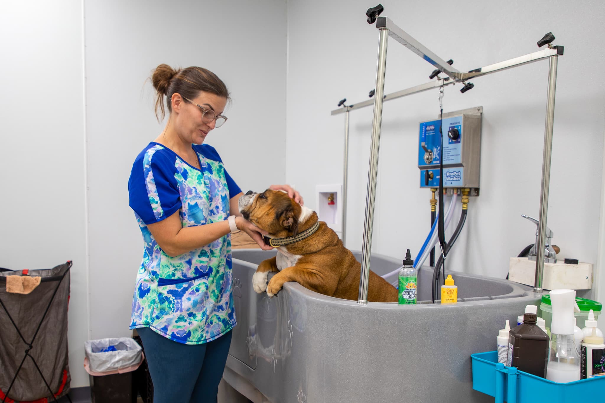 Beautiful Canines by Erin - Pet groomer in Owings Mills, MD