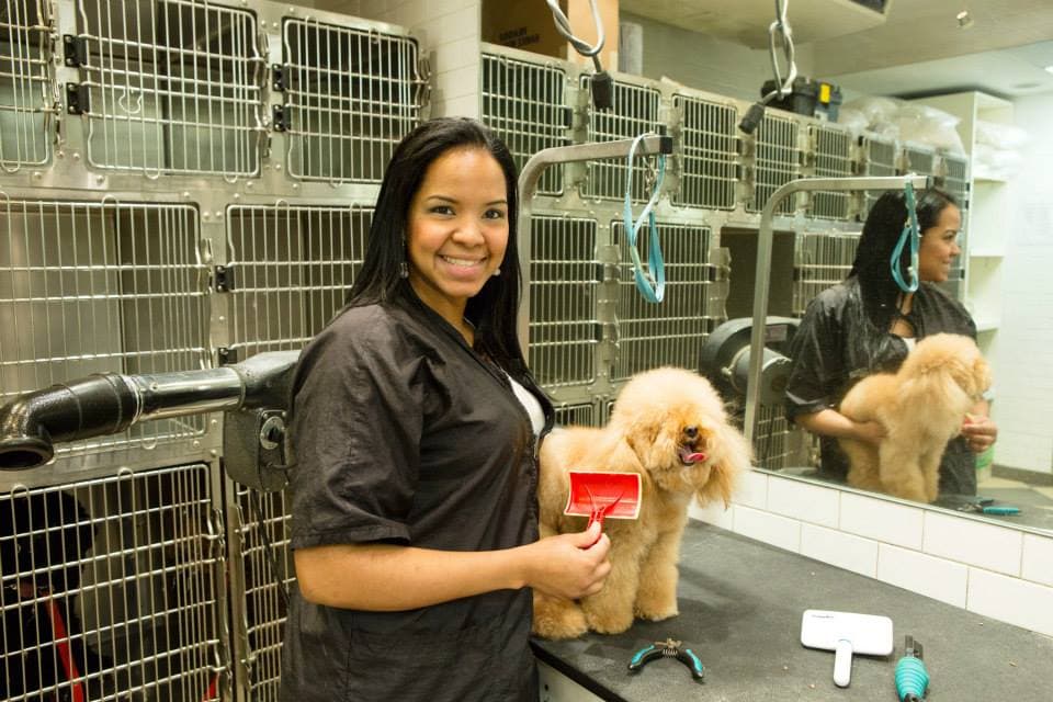 Canine Styles West - Pet groomer in New York, NY