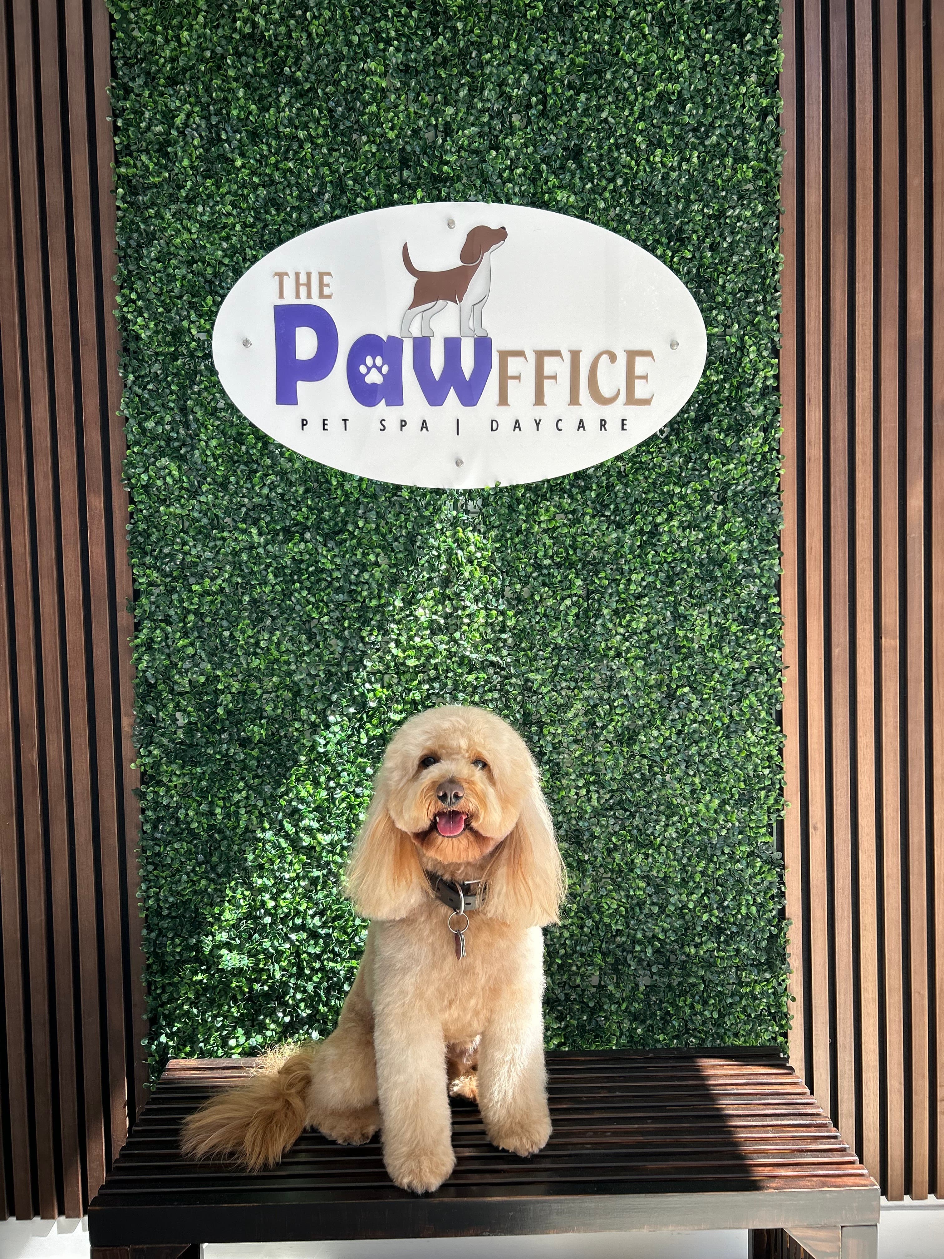 The Pawffice Pet Spa & Daycare - Pet groomer in San Francisco, CA