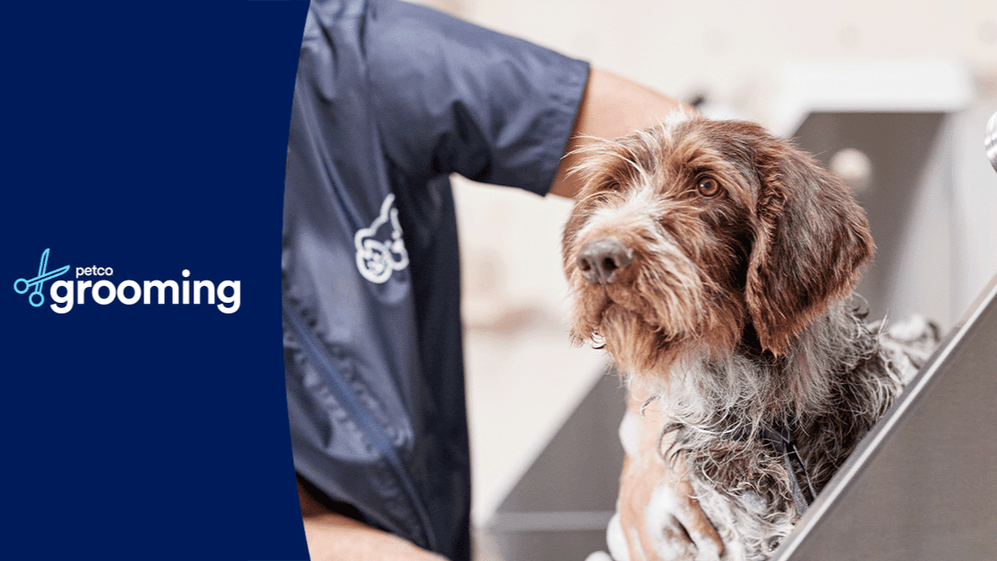 Petco Grooming - Pet groomer in Indianapolis, IN