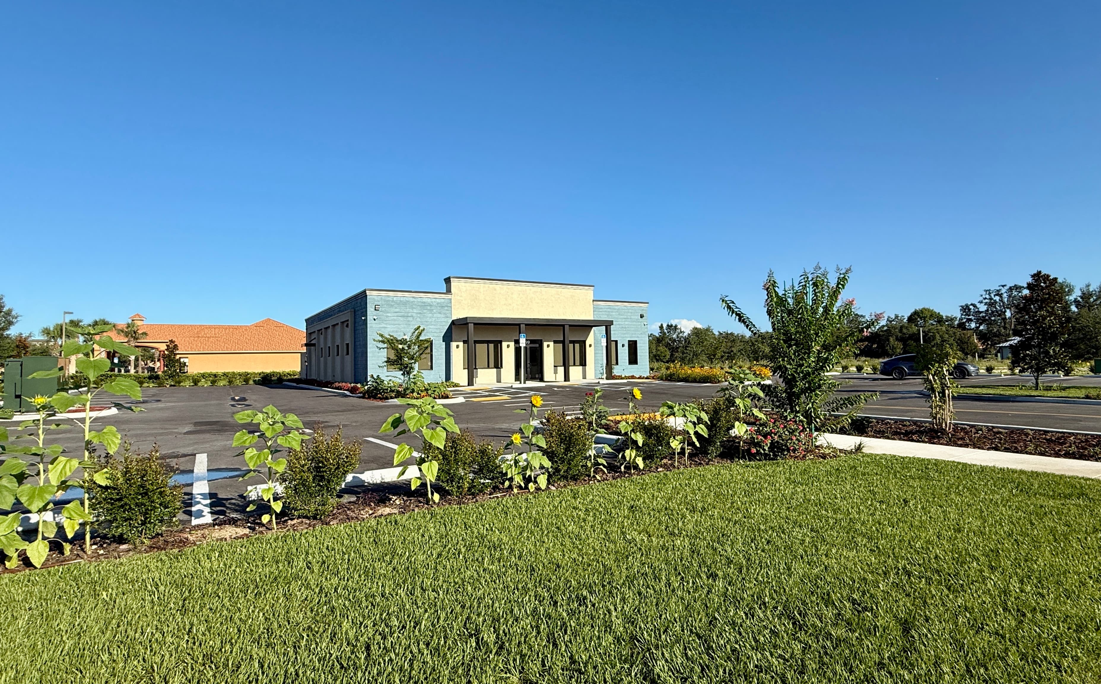 Spring Hill Pediatric Care - Doctor in Spring Hill, FL