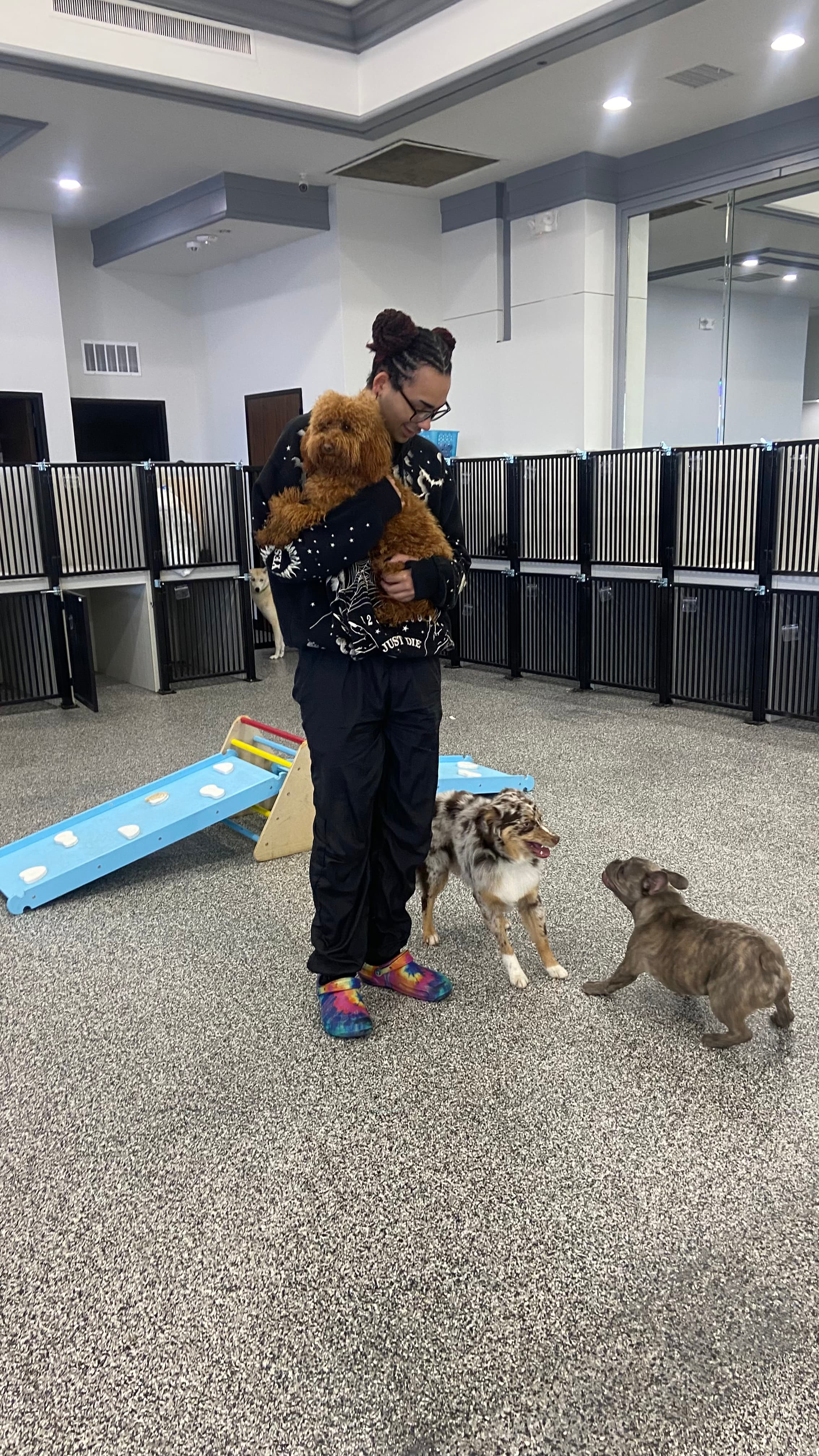 Unleashed Retreat - Pet groomer in Houston, TX