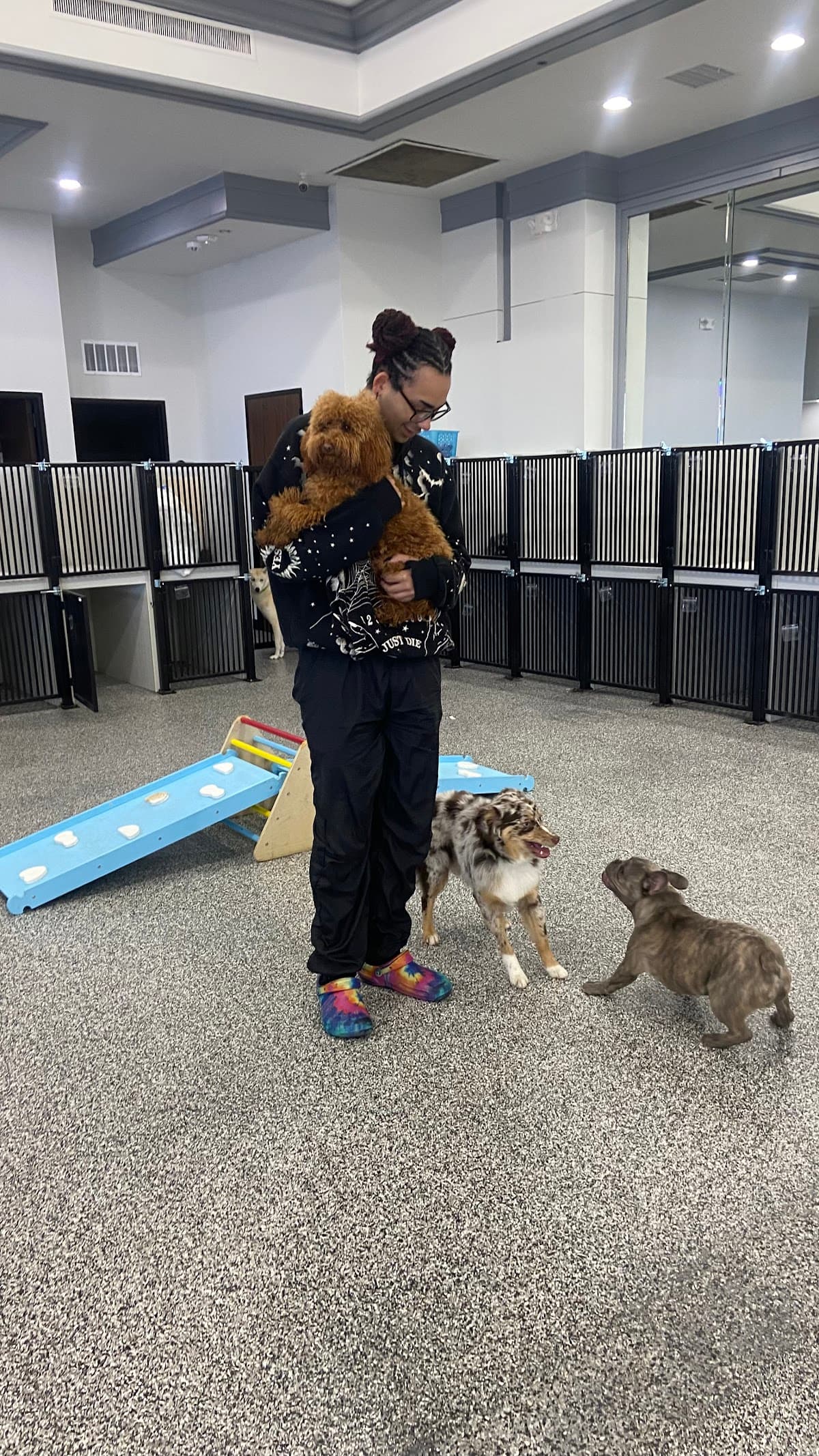 Unleashed Retreat - Pet groomer in Houston, TX