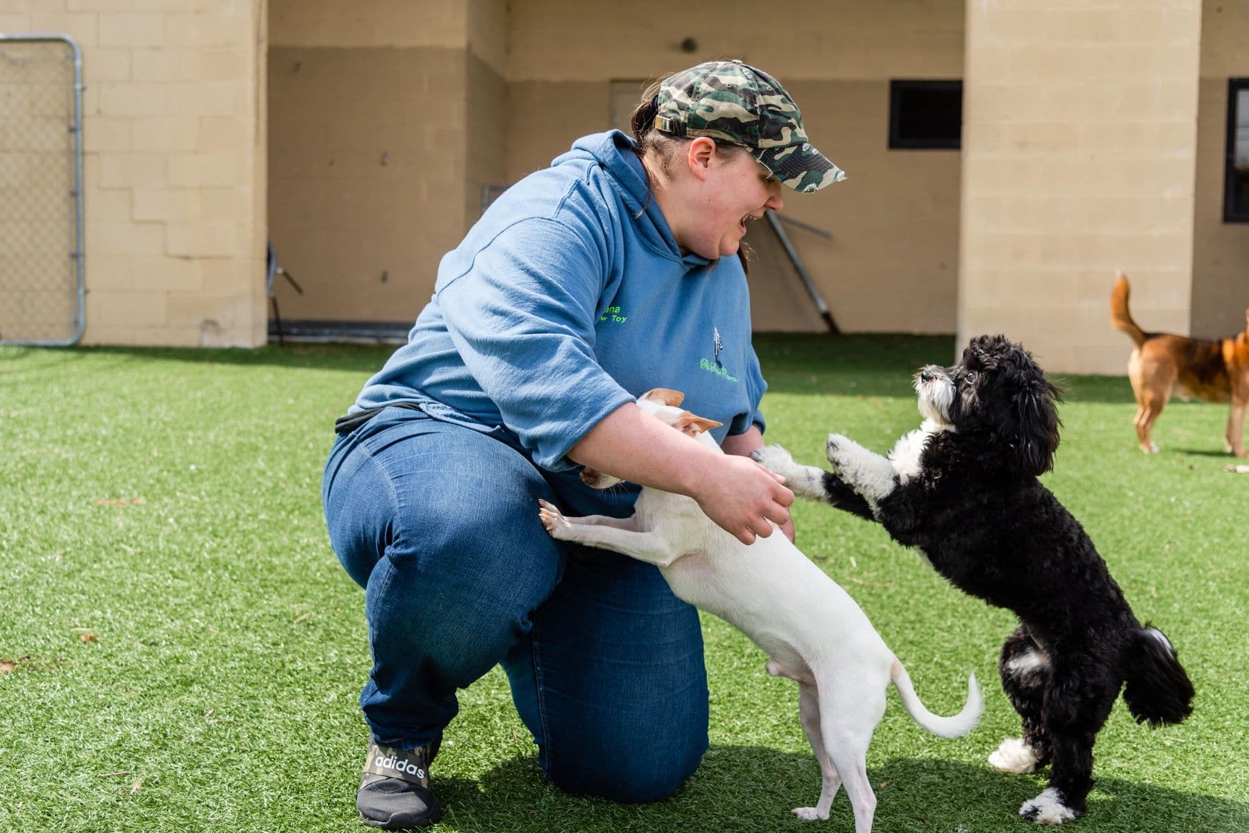 Pet Suite Retreat-Troy - Pet groomer in Troy, MI
