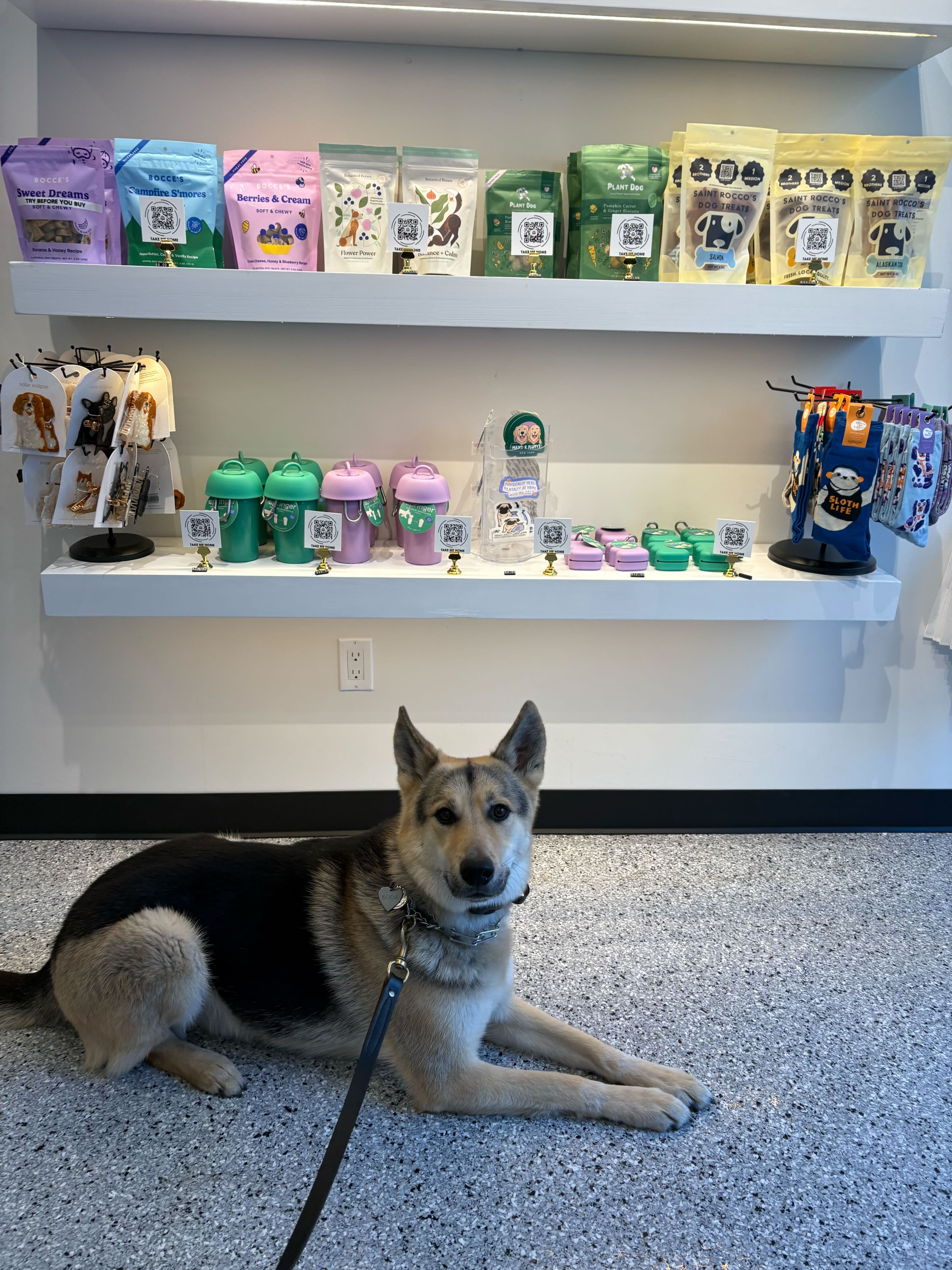 Maxx & Fluffy's - Pet groomer in New York, NY