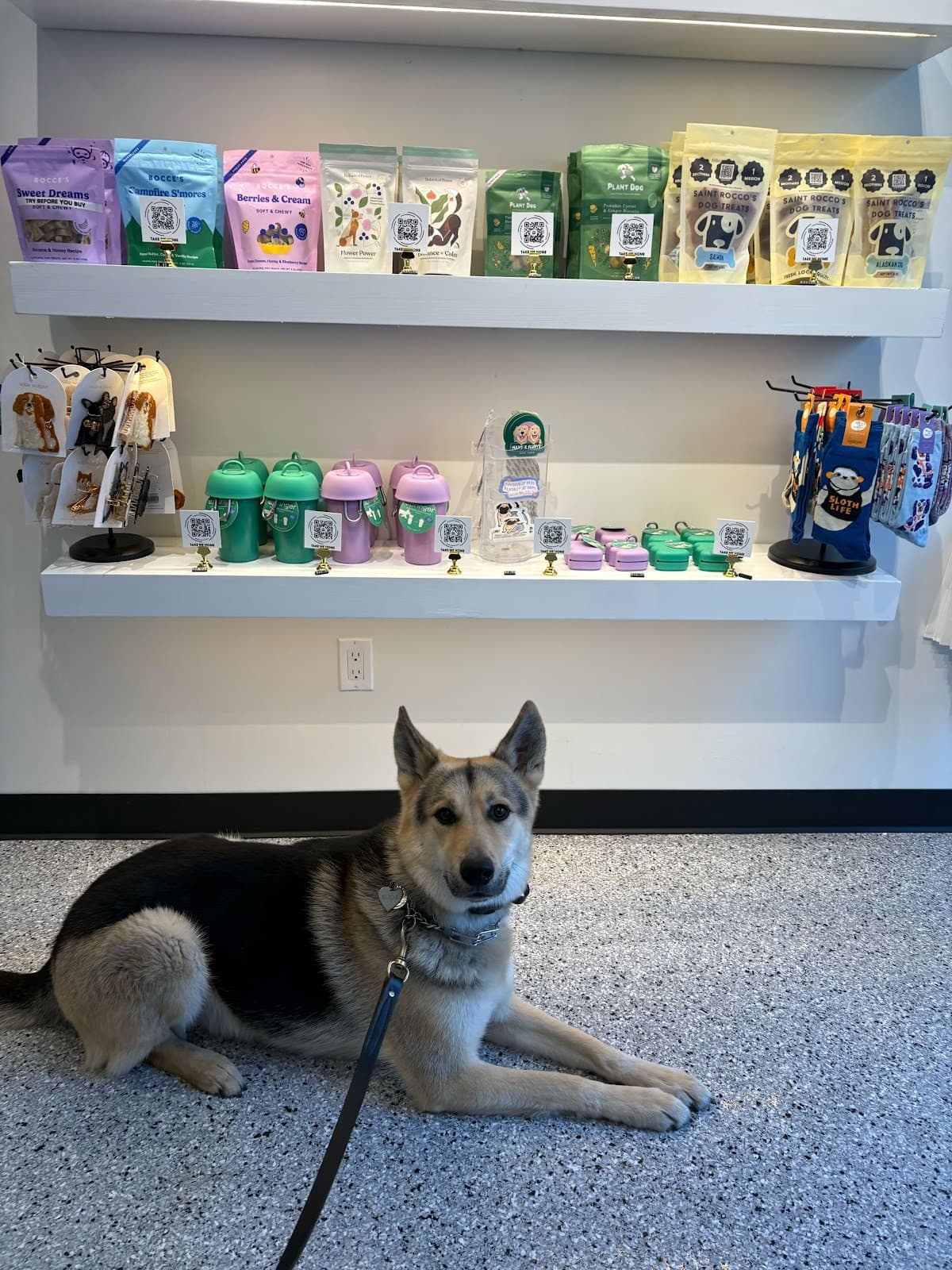 Maxx & Fluffy's - Pet groomer in New York, NY