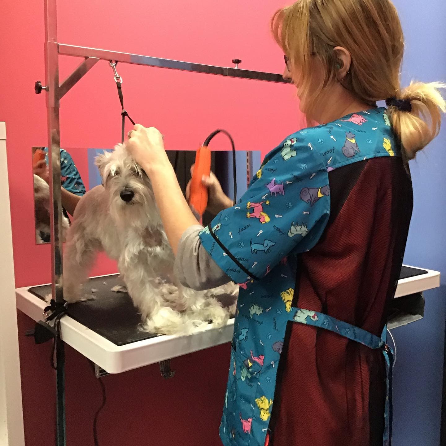 Pup Town Spaw: Self wash and pet grooming - Pet groomer in San Antonio, TX