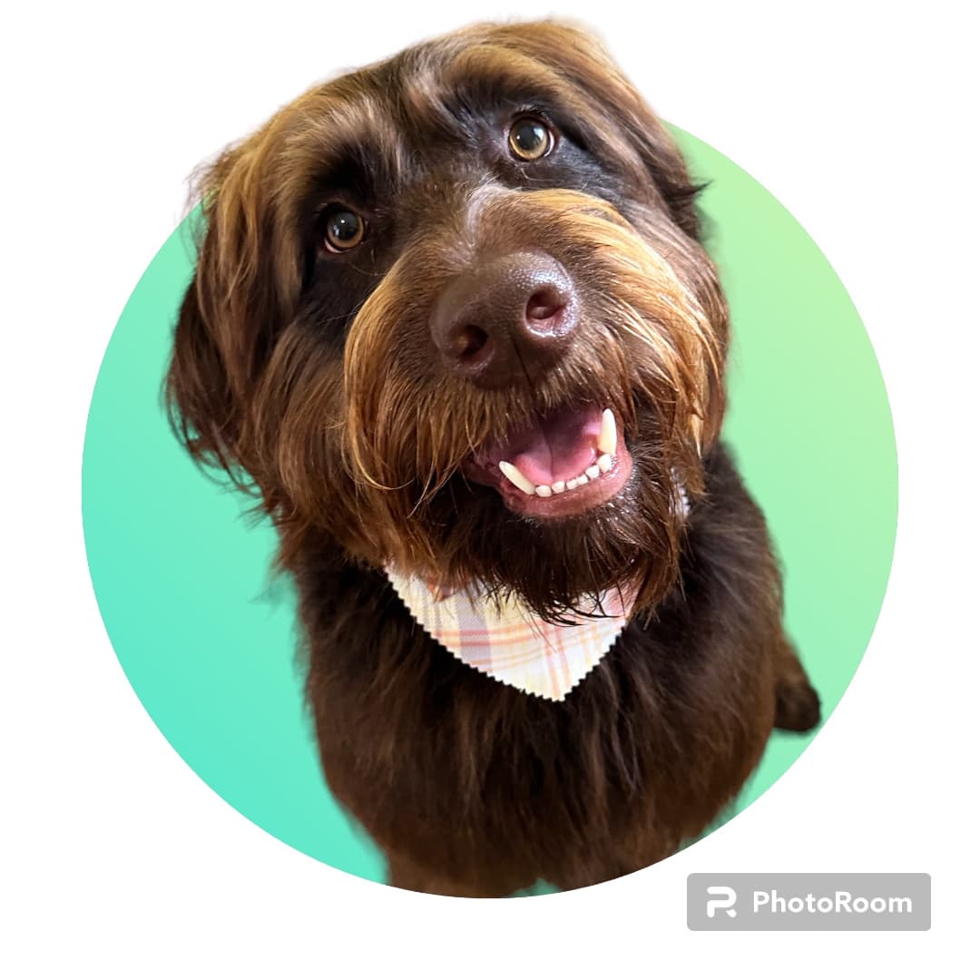 Fluff -N- Buff LLC - Pet groomer in Newport News, VA