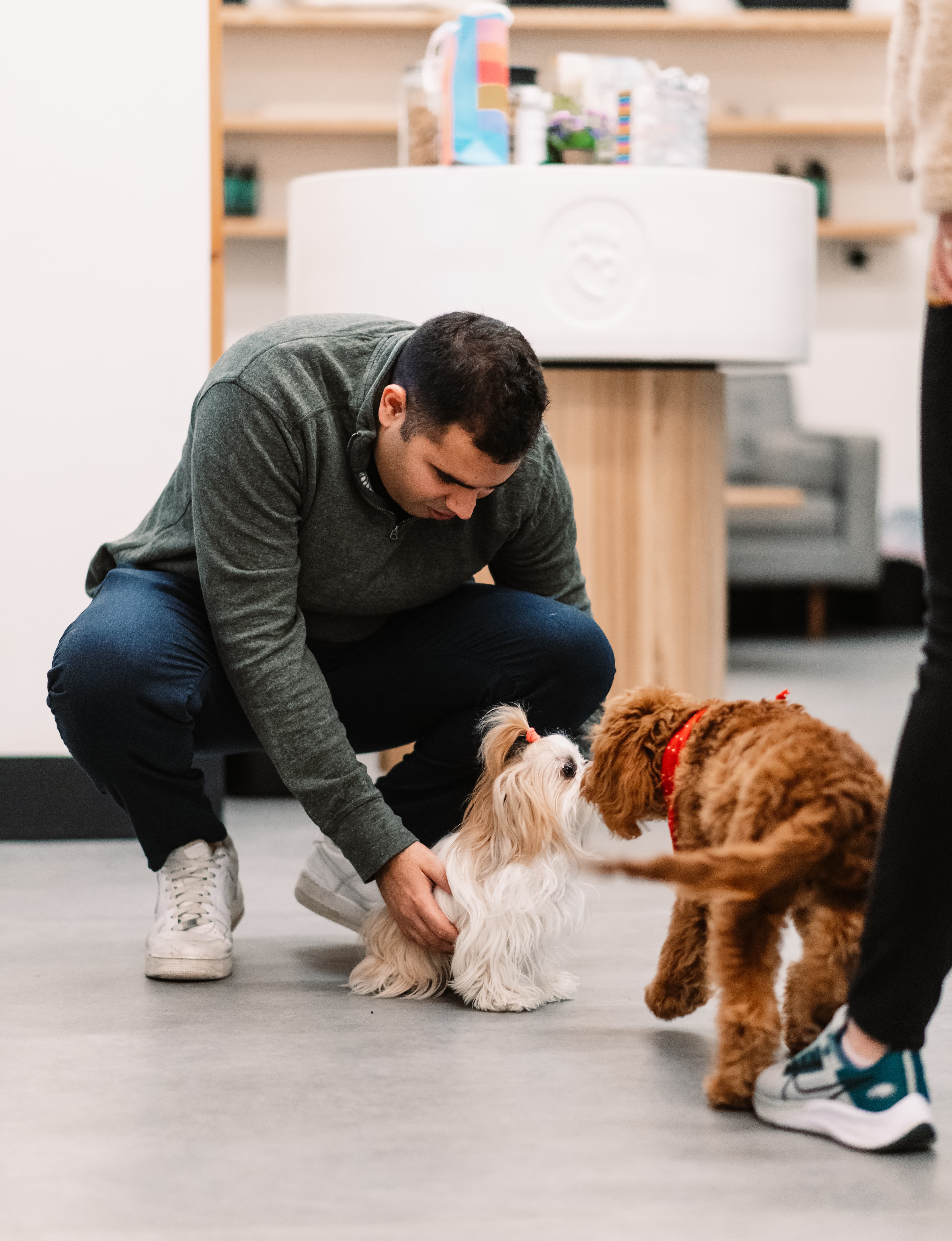 Heart + Paw - Pet groomer in Philadelphia, PA
