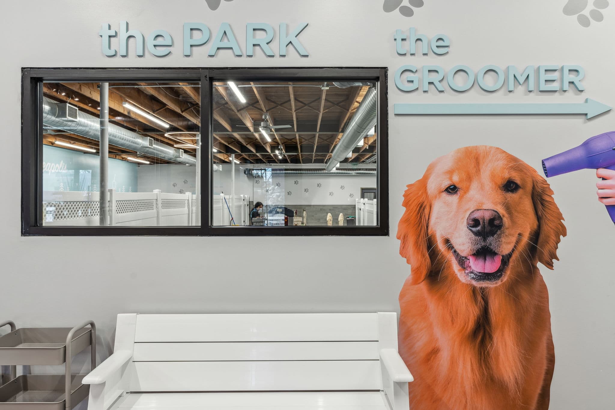 City Paws Pet Club - Dog Daycare, Boarding, Training & Grooming - Pet groomer in Minneapolis, MN