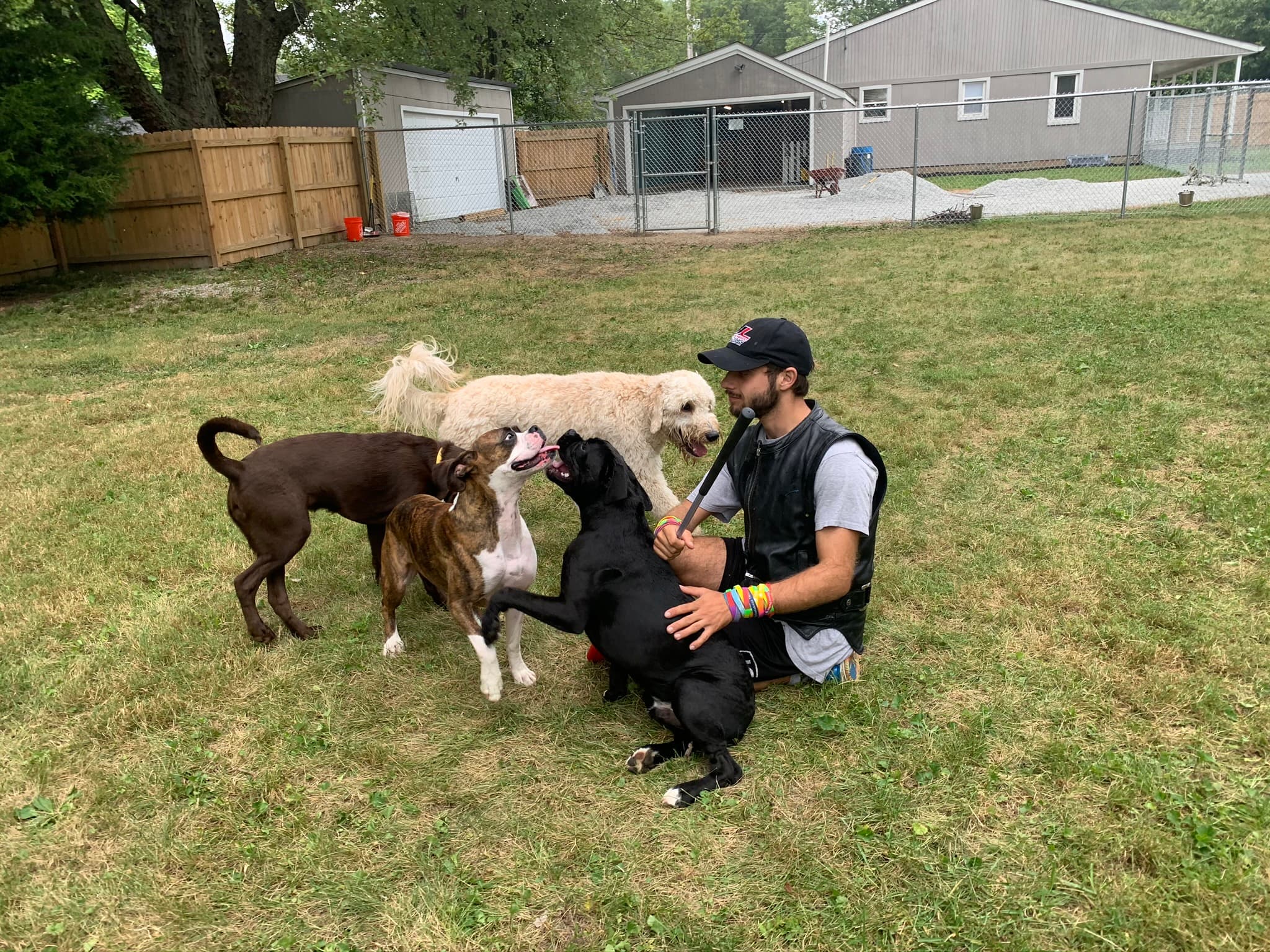 Happy Hounds - Pet groomer in Indianapolis, IN