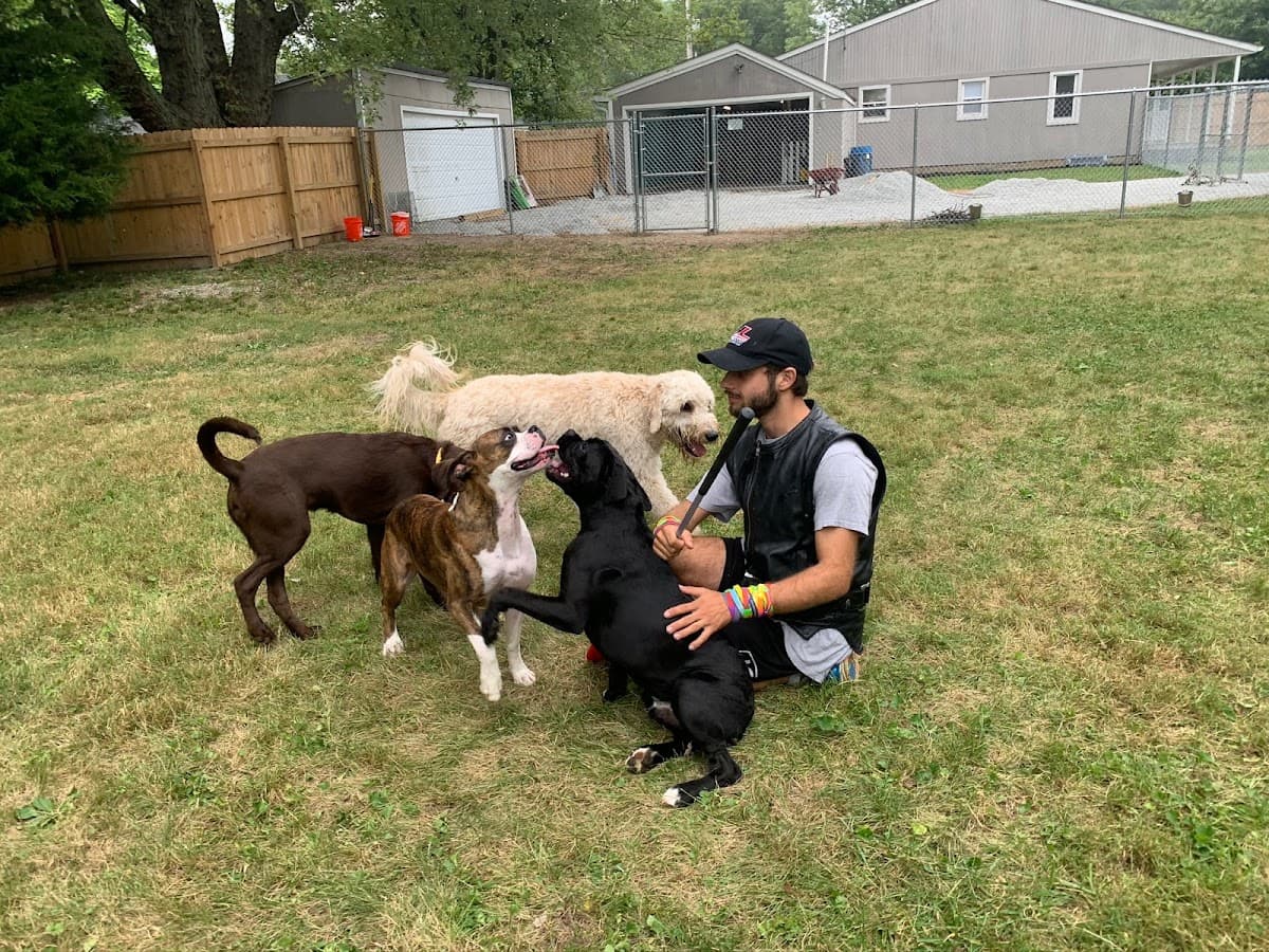 Happy Hounds - Pet groomer in Indianapolis, IN