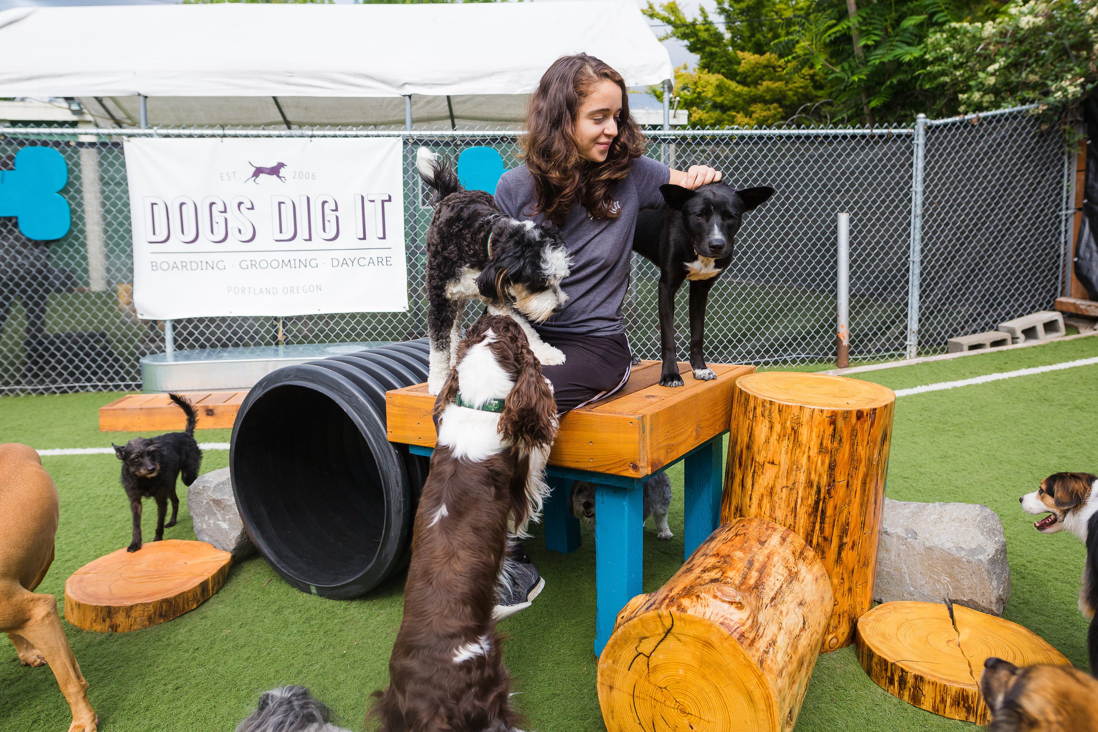 Dogs Dig It - Pet groomer in Portland, OR