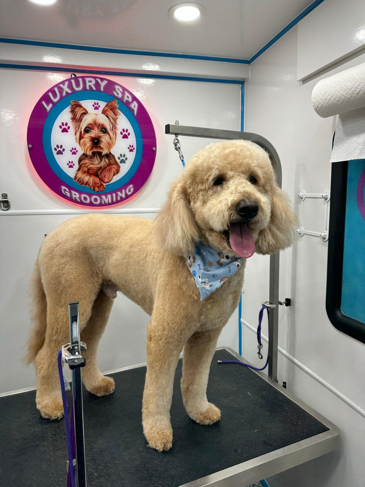 Luxury Spa Grooming - Pet groomer in Reynoldsburg, OH
