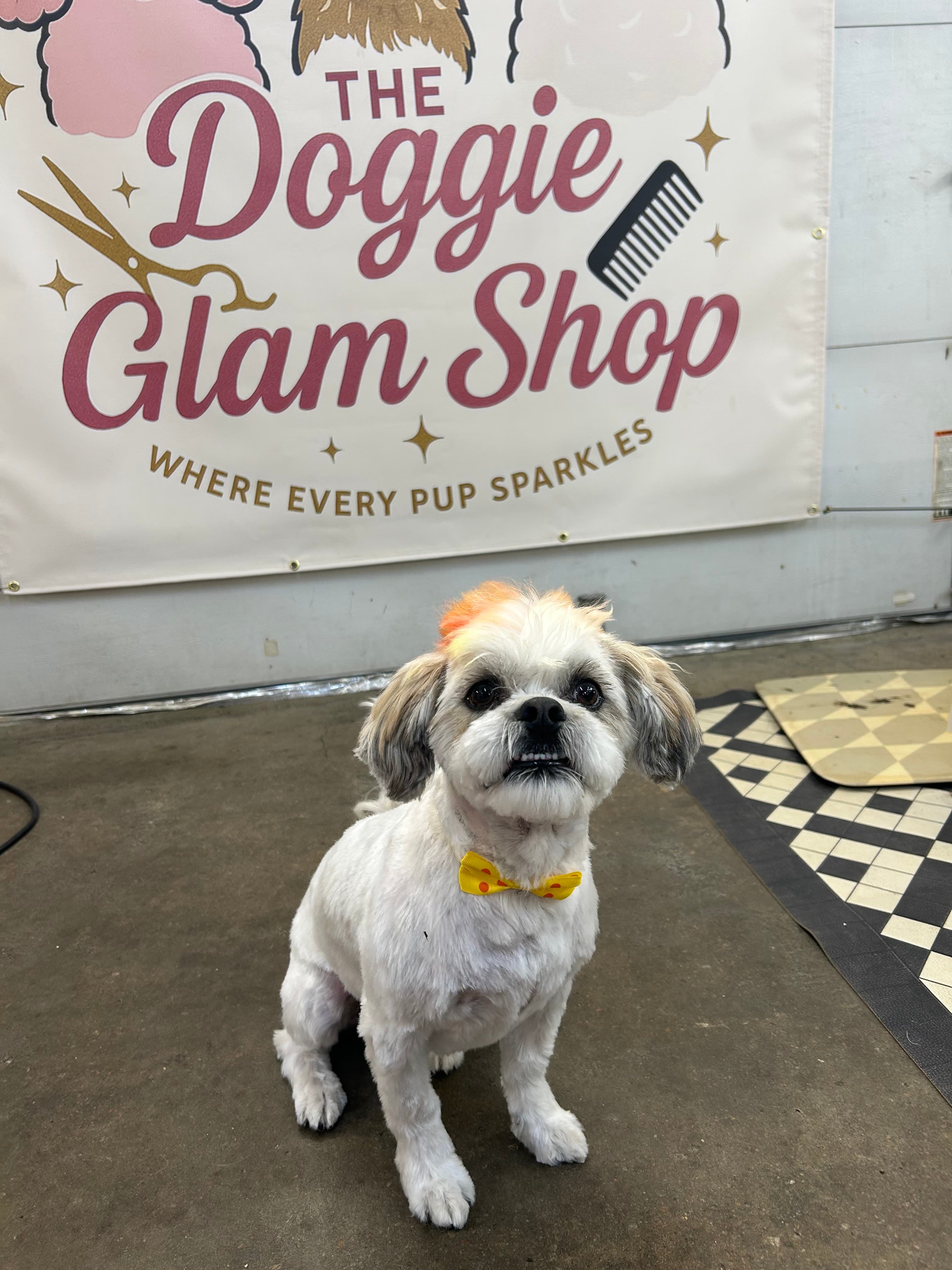 The Doggie Glam Shop - Pet groomer in Kansas City, MO