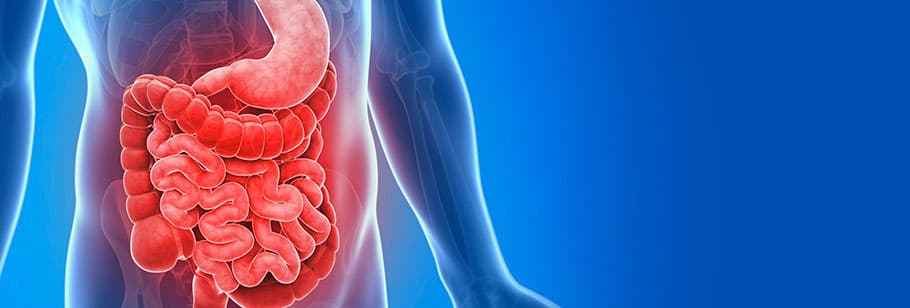 Connecticut GI: Hartford - Doctor in Hartford, CT