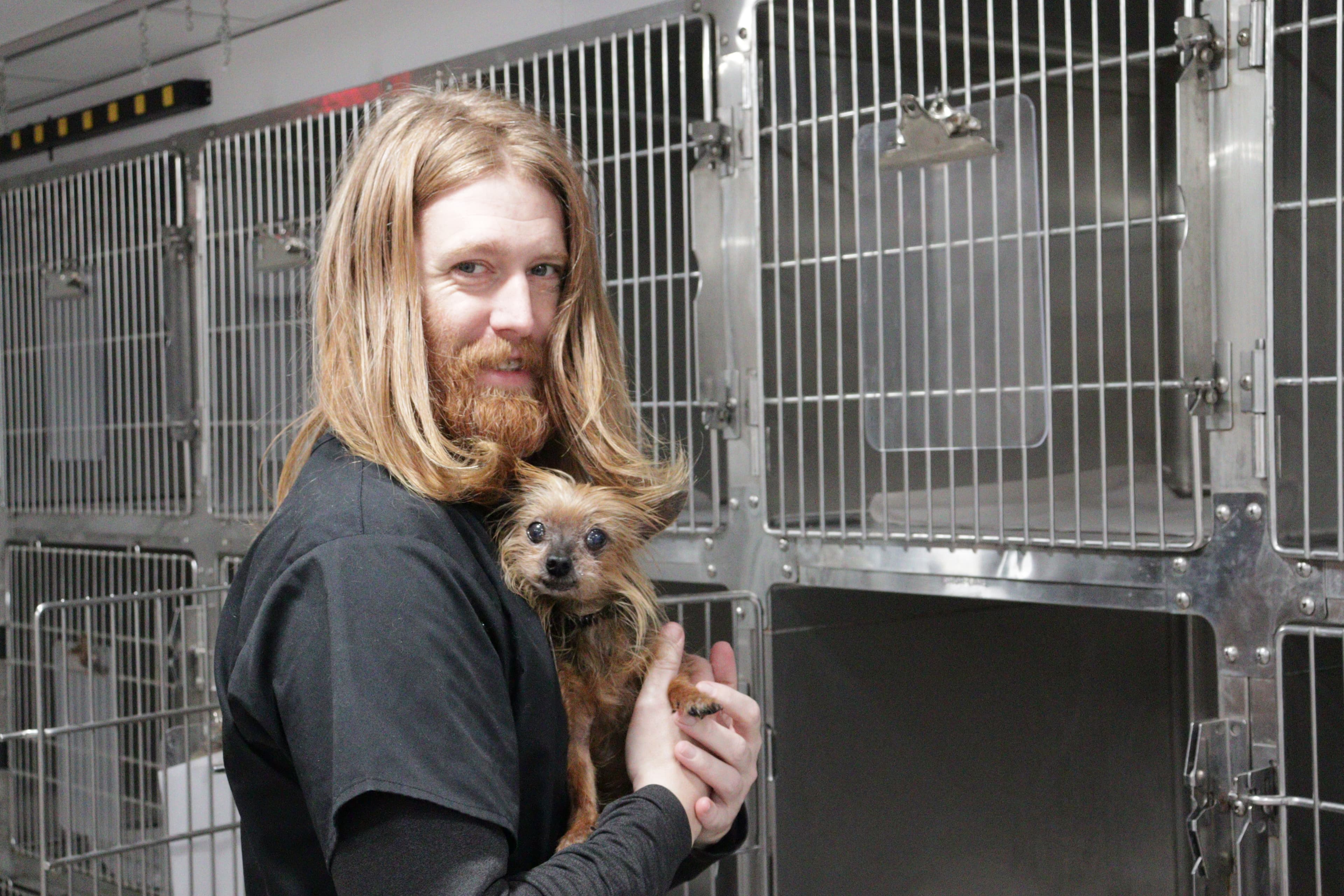 PetWow Grooming and Veterinary Care - Highland Heights - Pet groomer in Highland Heights, KY