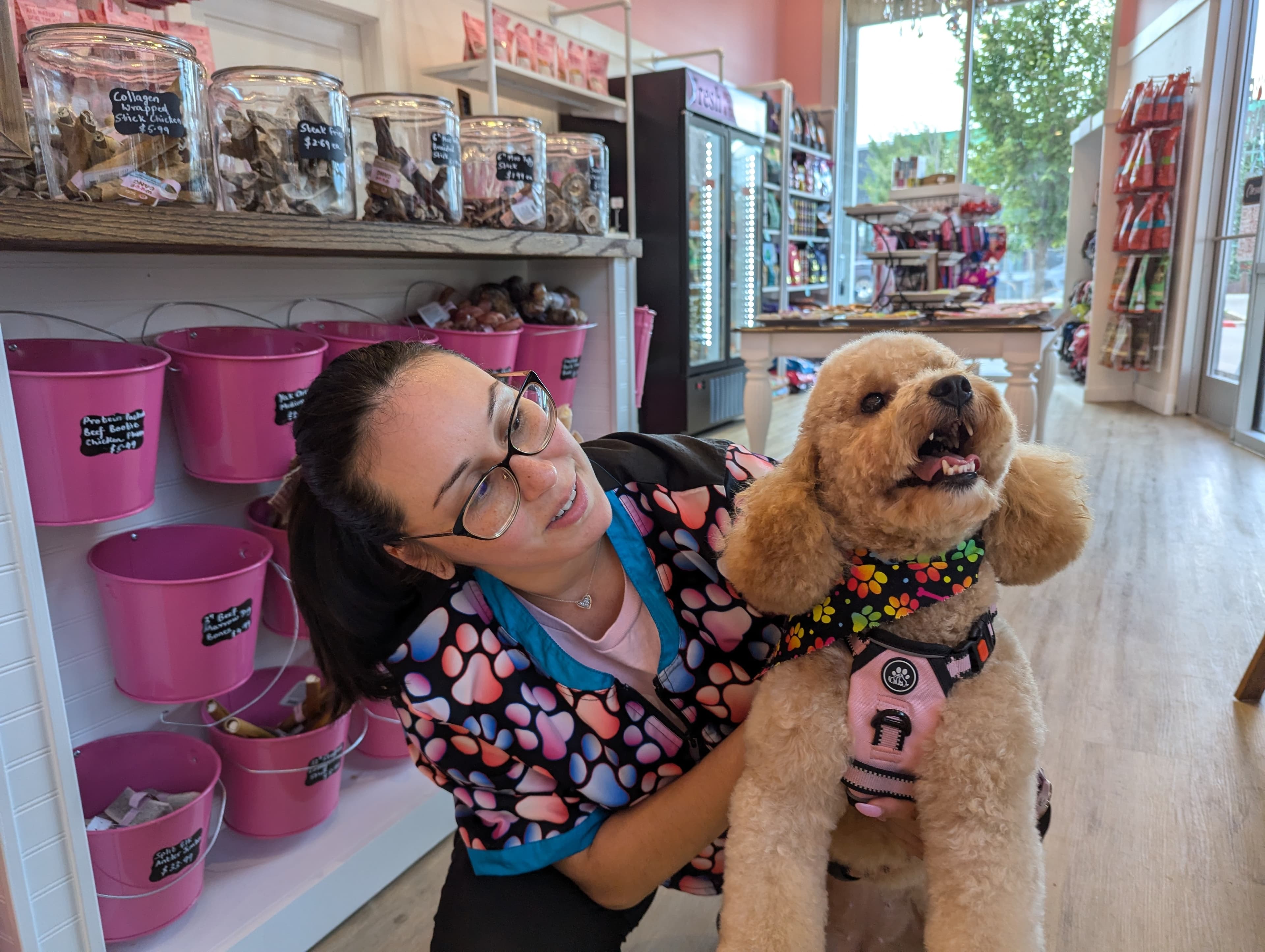 Woof Gang Bakery & Grooming Heights - Pet groomer in Houston, TX