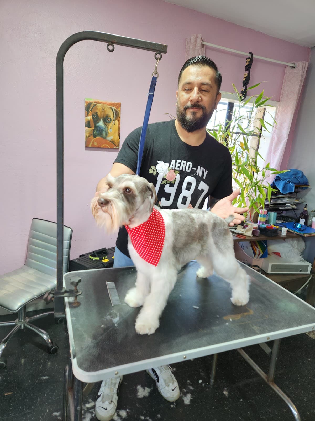 Paw Pet's Glam - Pet groomer in San Antonio, TX