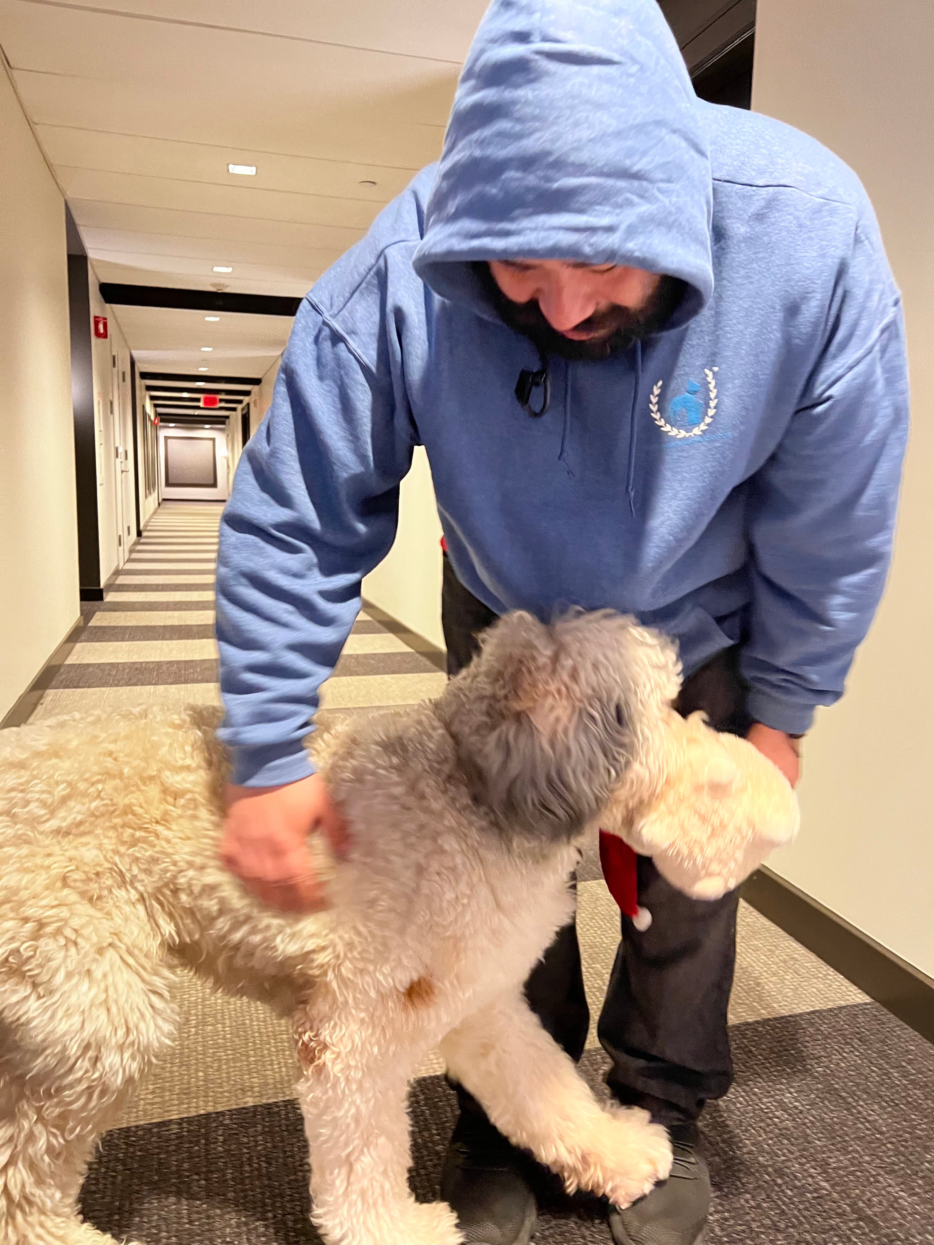 Boston's Best Dog Walkers and Pet Services, LLC (main) - Pet groomer in Boston, MA