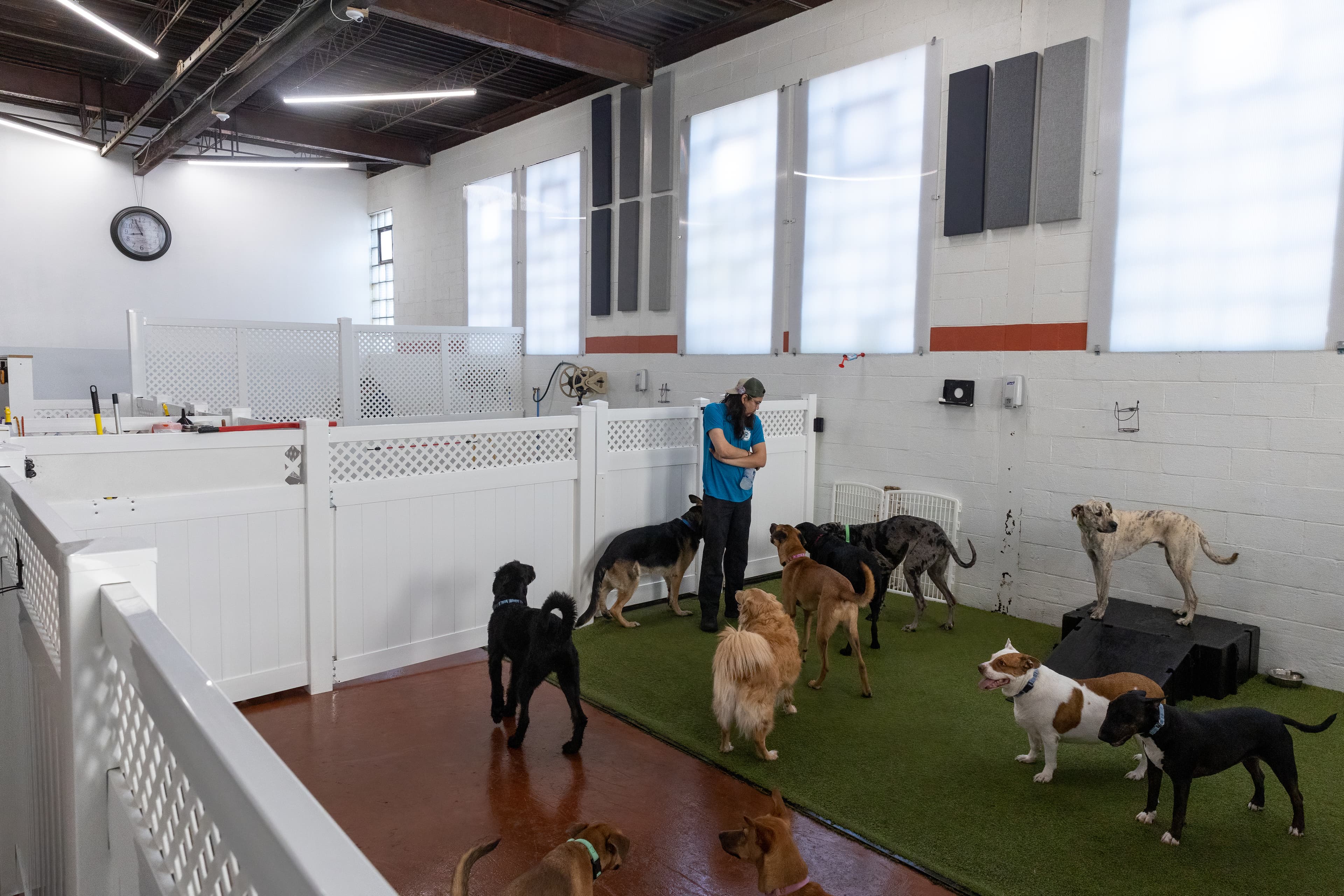 Stay. Dog Daycare, & Boarding - Pet groomer in Cleveland, OH