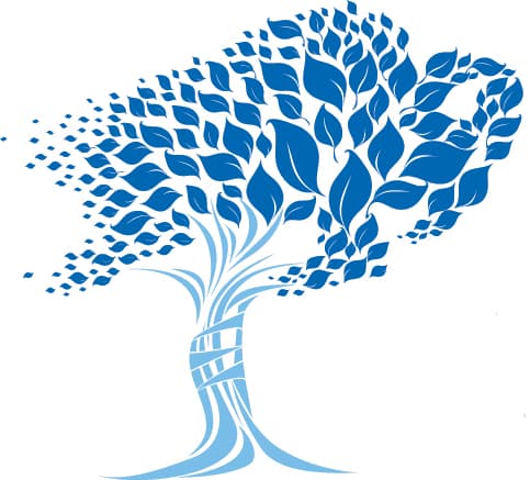 Dr. Thomas R. Duquin - Doctor in Buffalo, NY