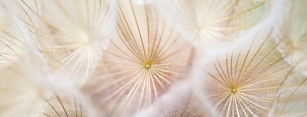 Integrative Medical Center - Doctor in Irvine, CA