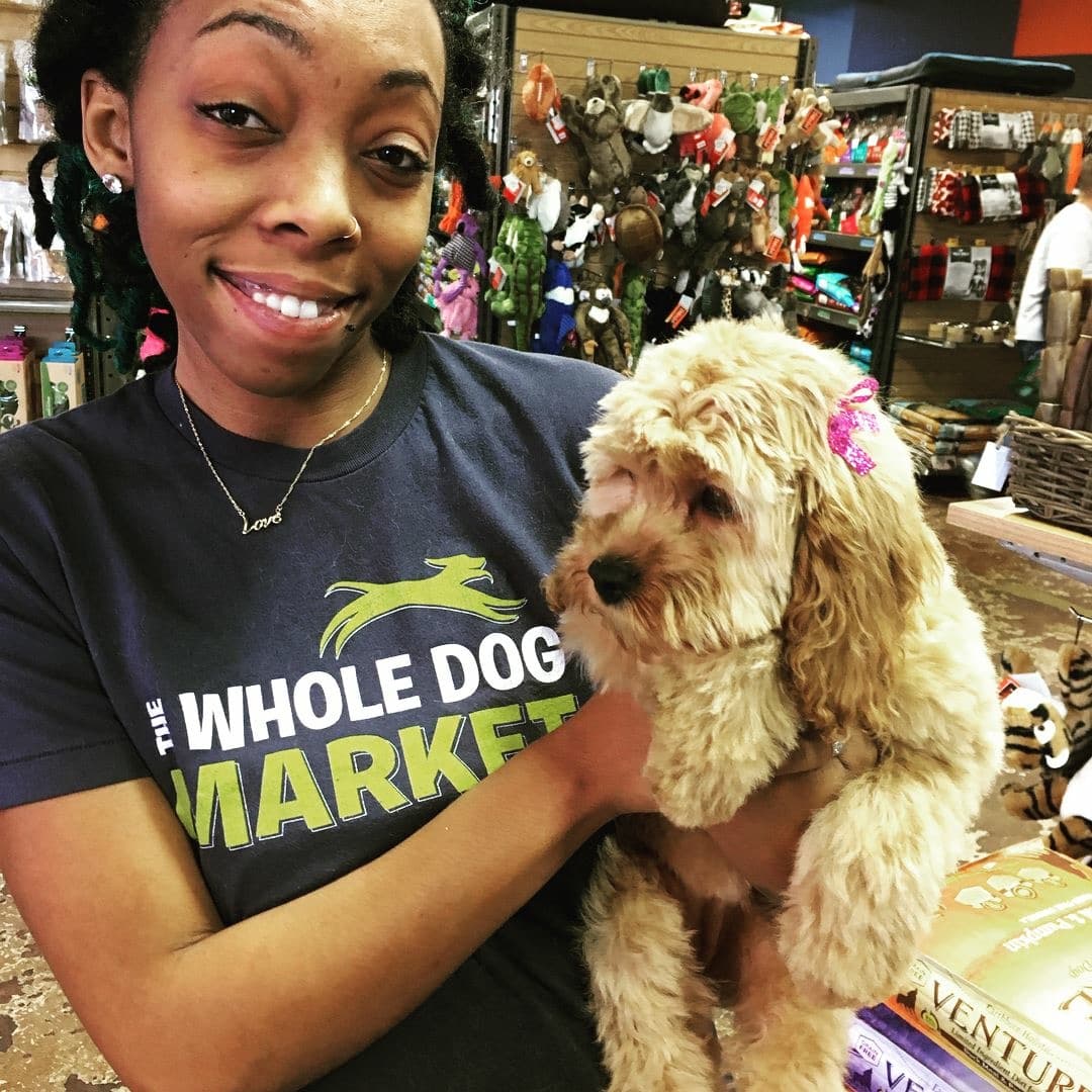 Doguroo - Pet groomer in Atlanta, GA