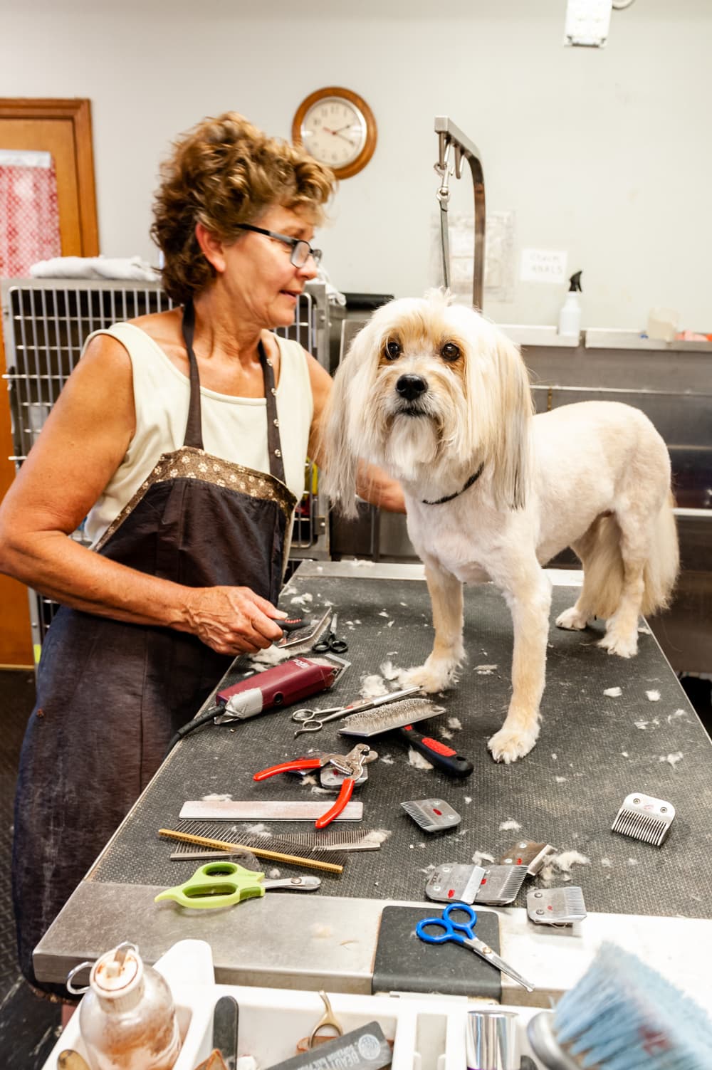 Kennel at Arbor Lane - Pet groomer in Indianapolis, IN