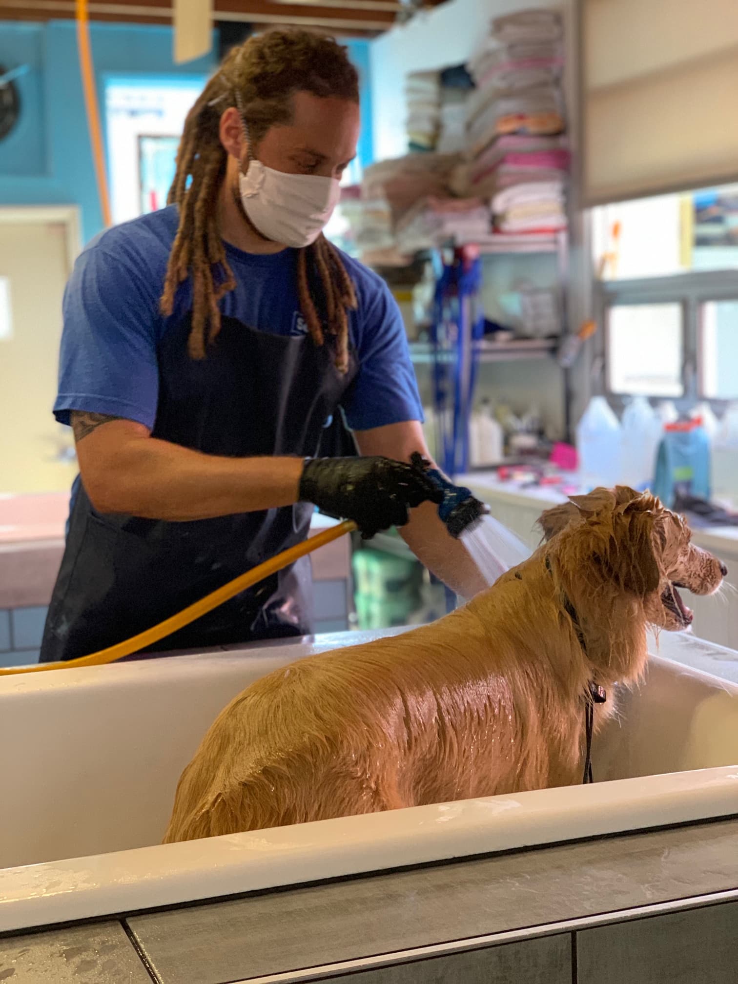 South Bark Dog Wash and Retail Store - Pet groomer in San Diego, CA