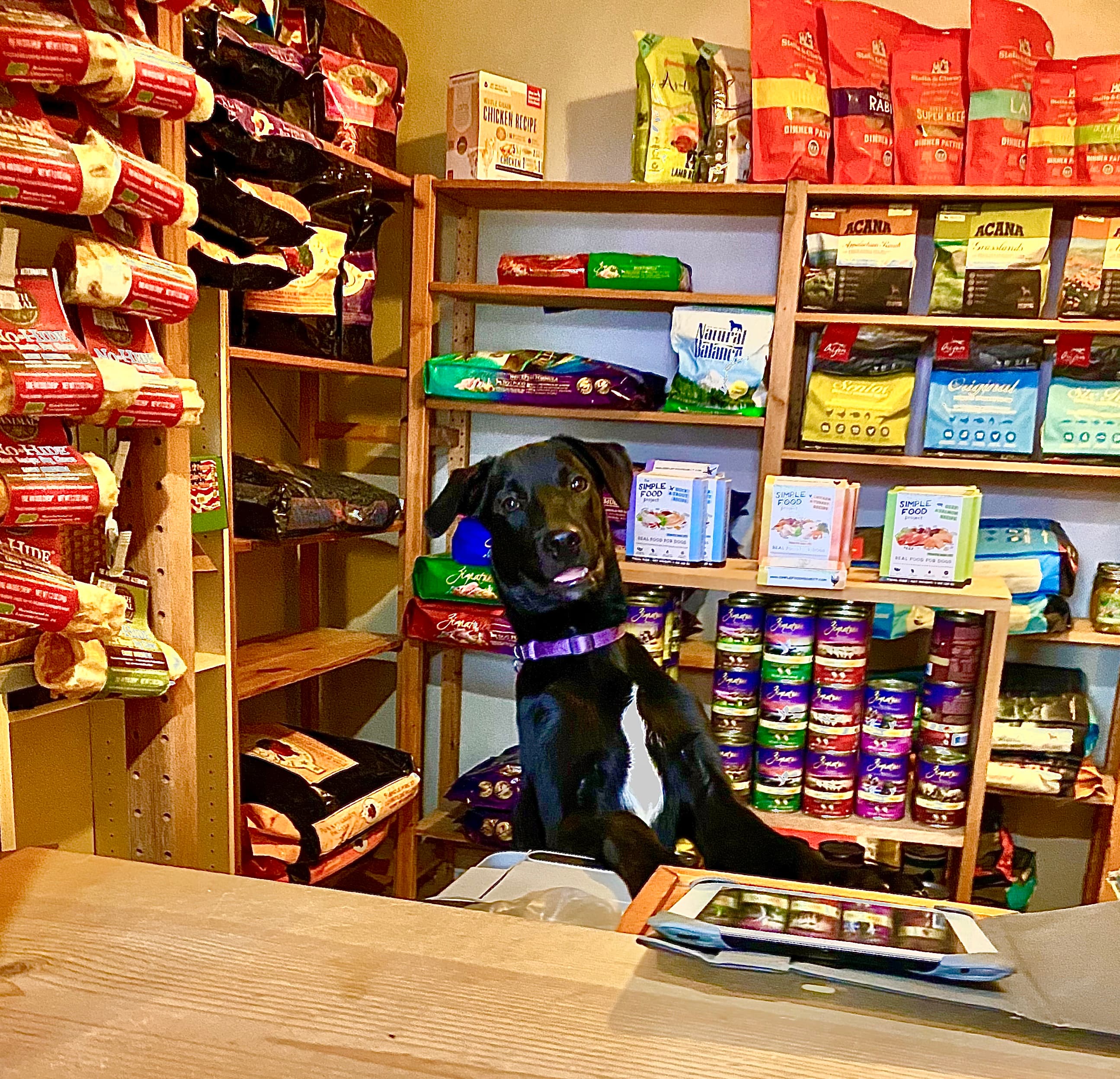 Animal Zen - Pet groomer in Cleveland, OH