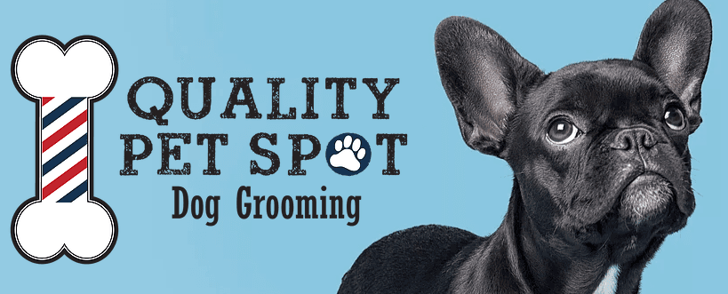 Quality Pet Spot Silver Creek - Pet groomer in San Jose, CA