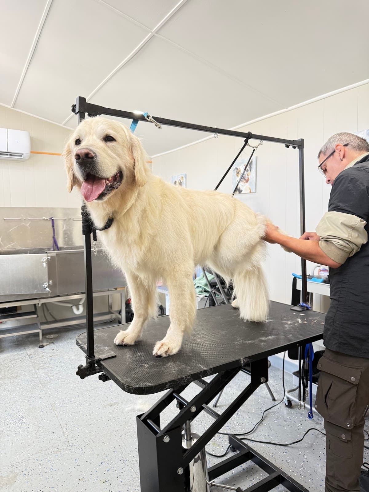 Happy Tail Happy Dog | Dog Daycare, Boarding & Grooming - Pet groomer in Denver, CO