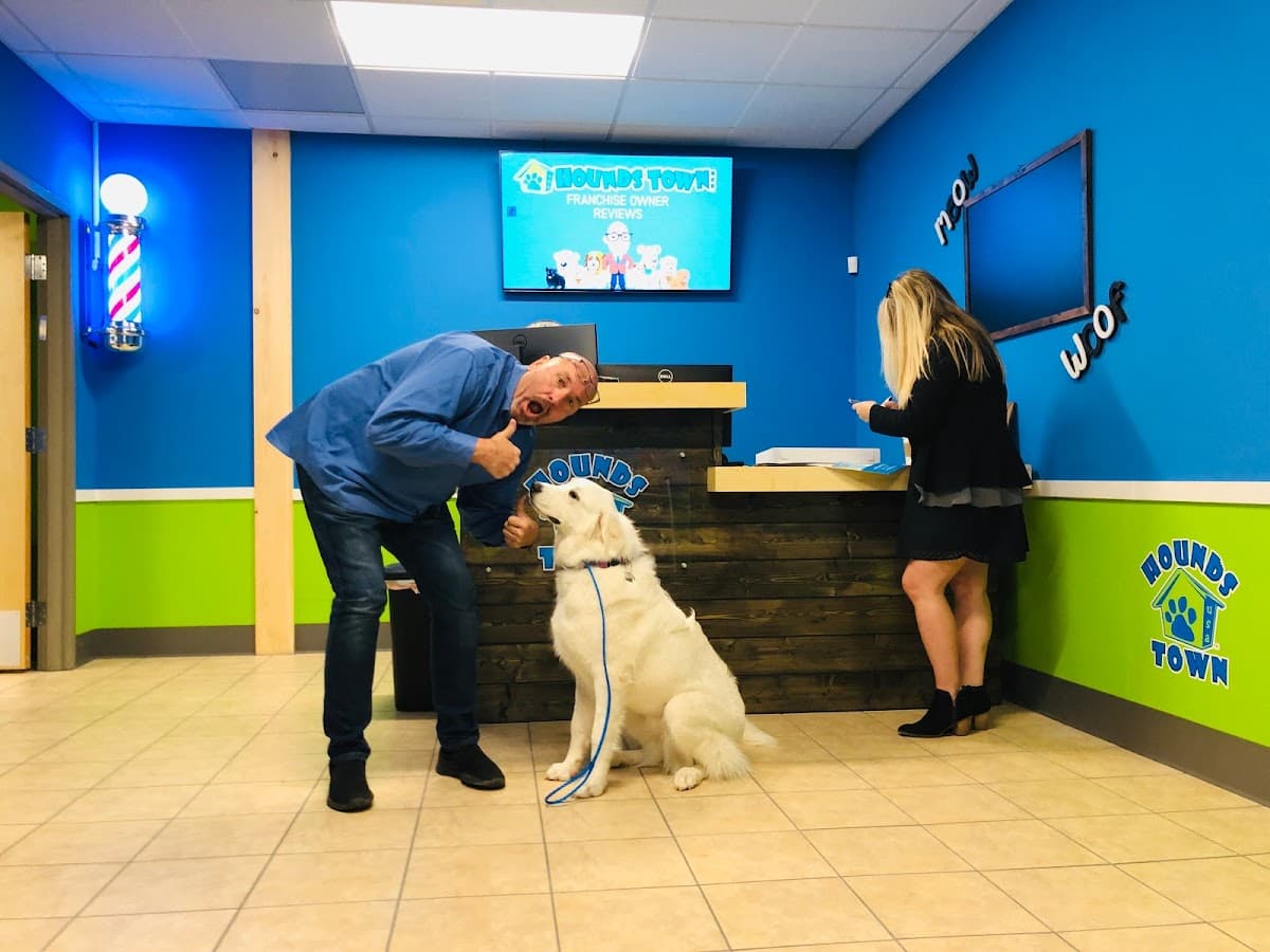 Hounds Town - Pet groomer in Pittsburgh, PA
