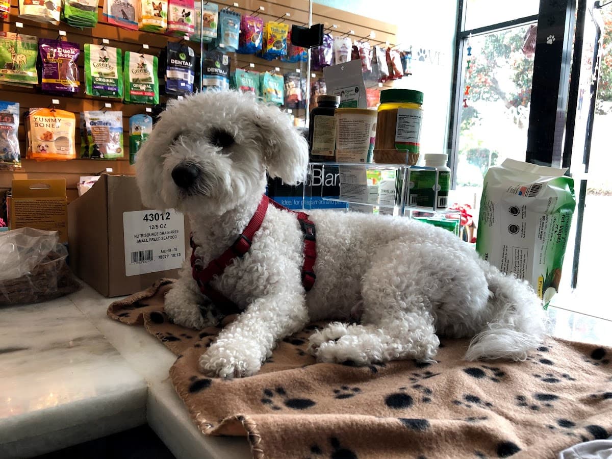 The Doodle Inc. - Pet groomer in San Francisco, CA
